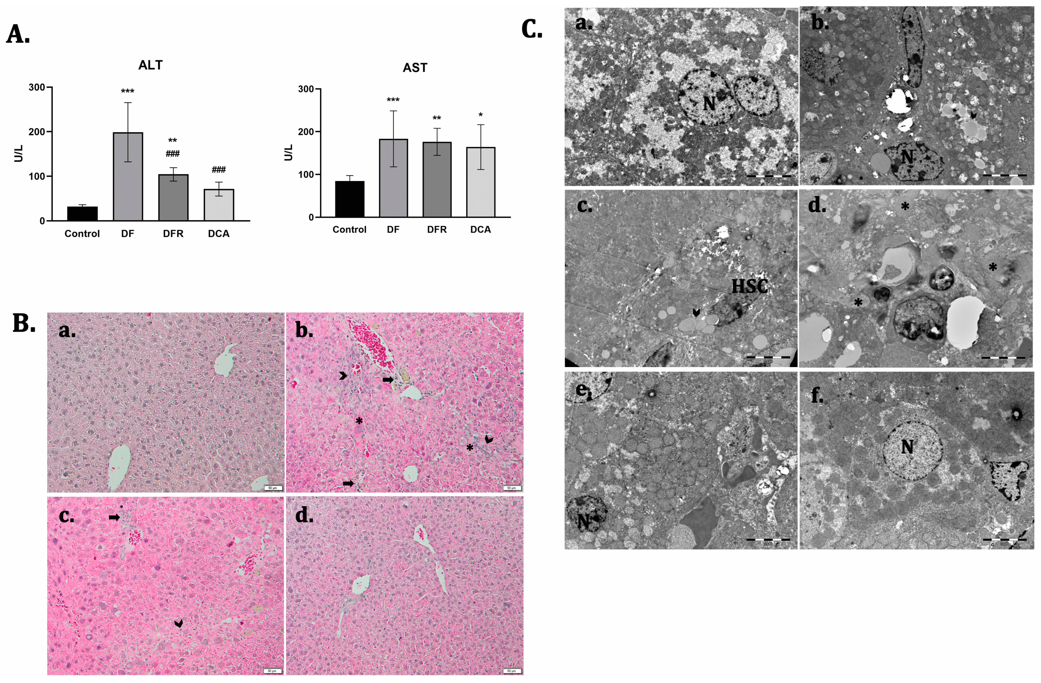 Biomedicines 11 01771 g001