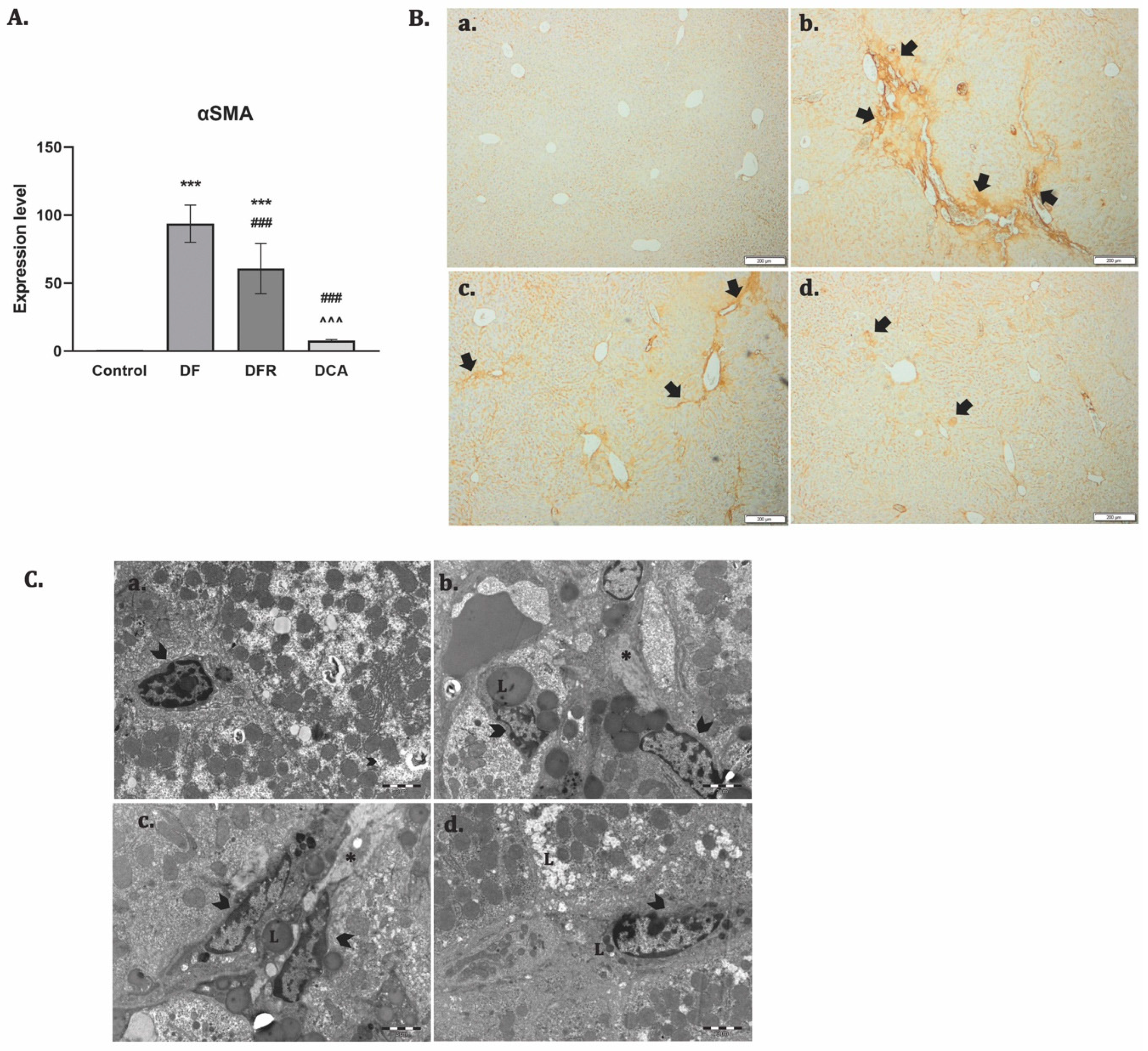 Biomedicines 11 01771 g003