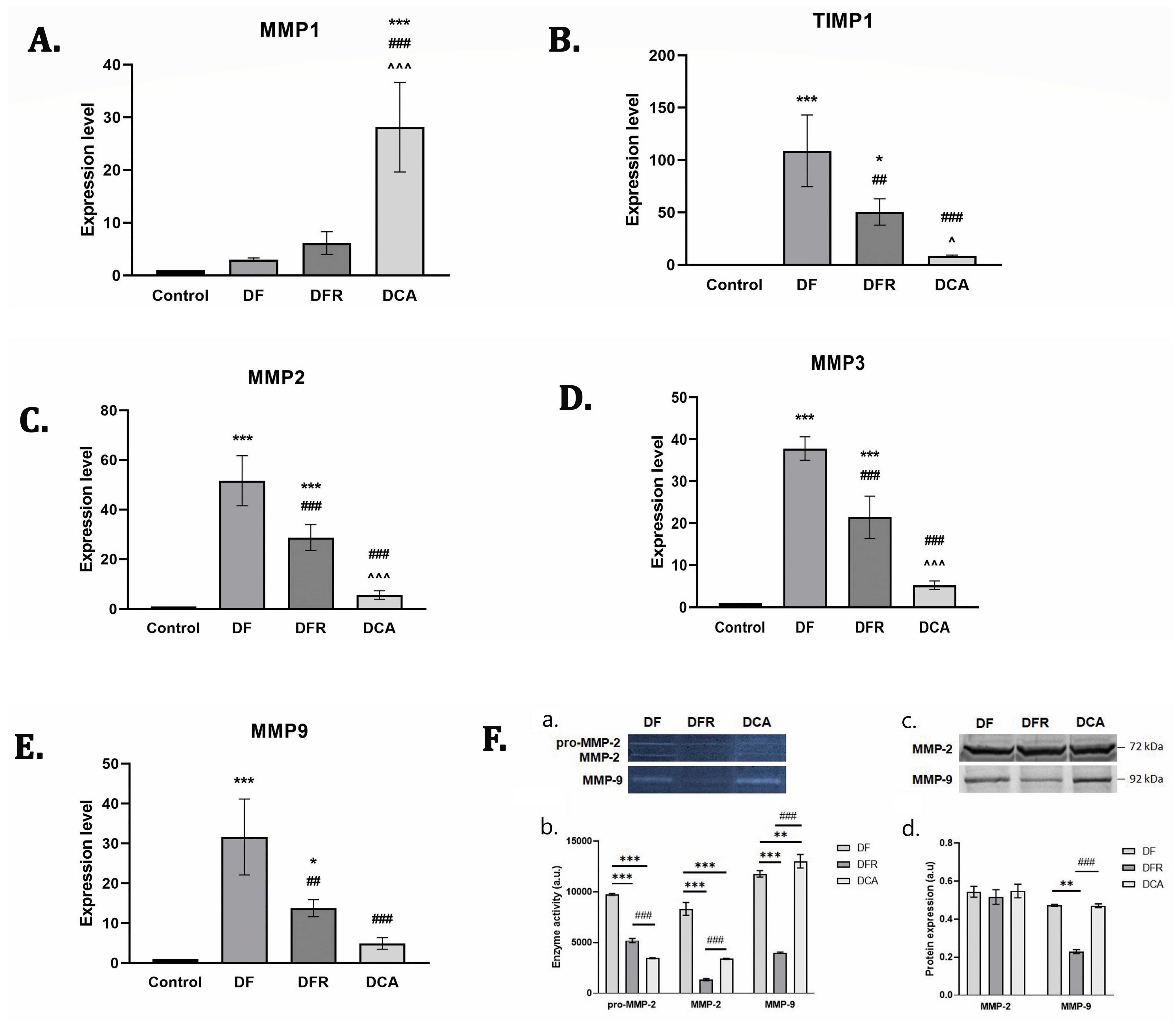 Biomedicines 11 01771 g005