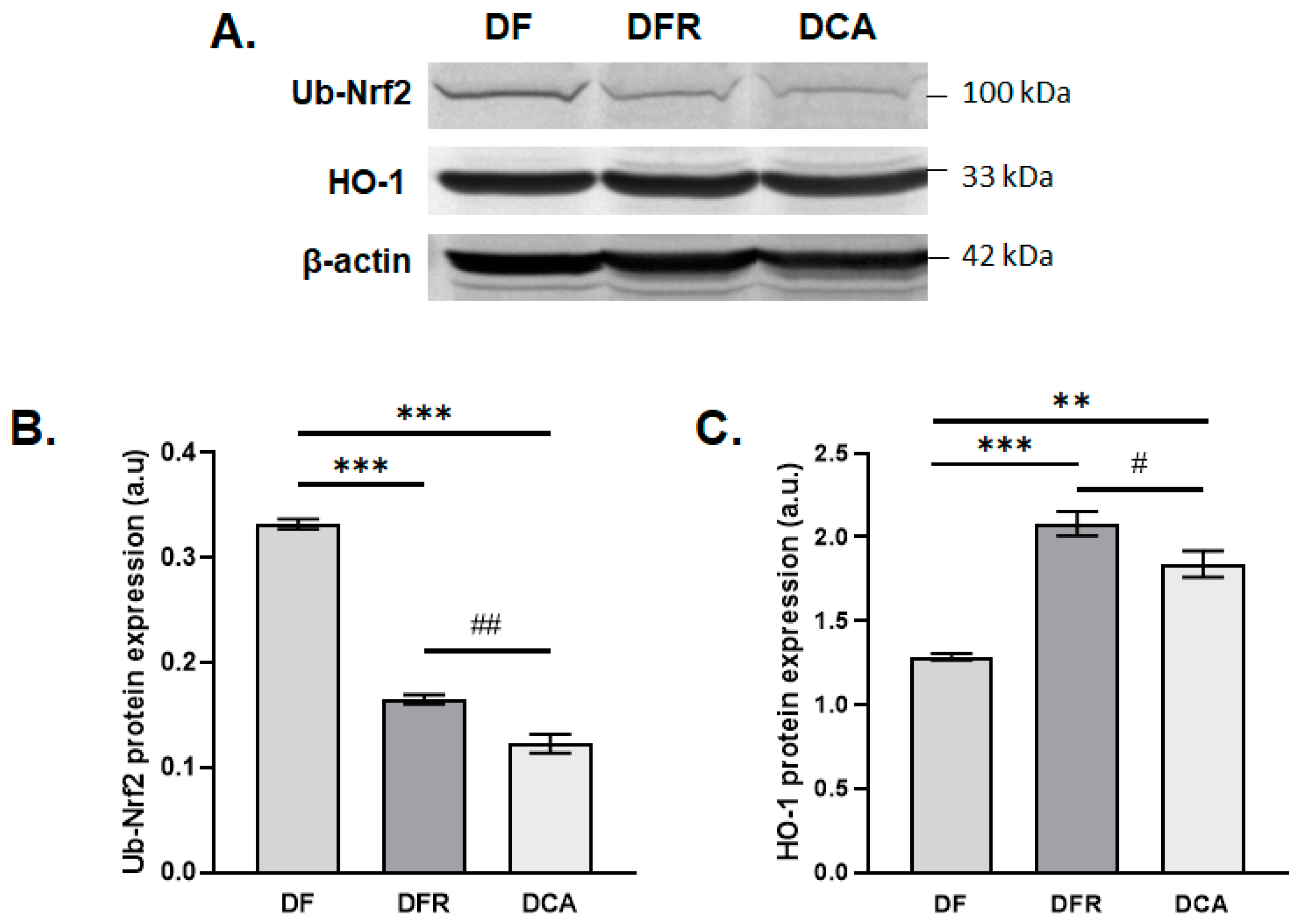 Biomedicines 11 01771 g007