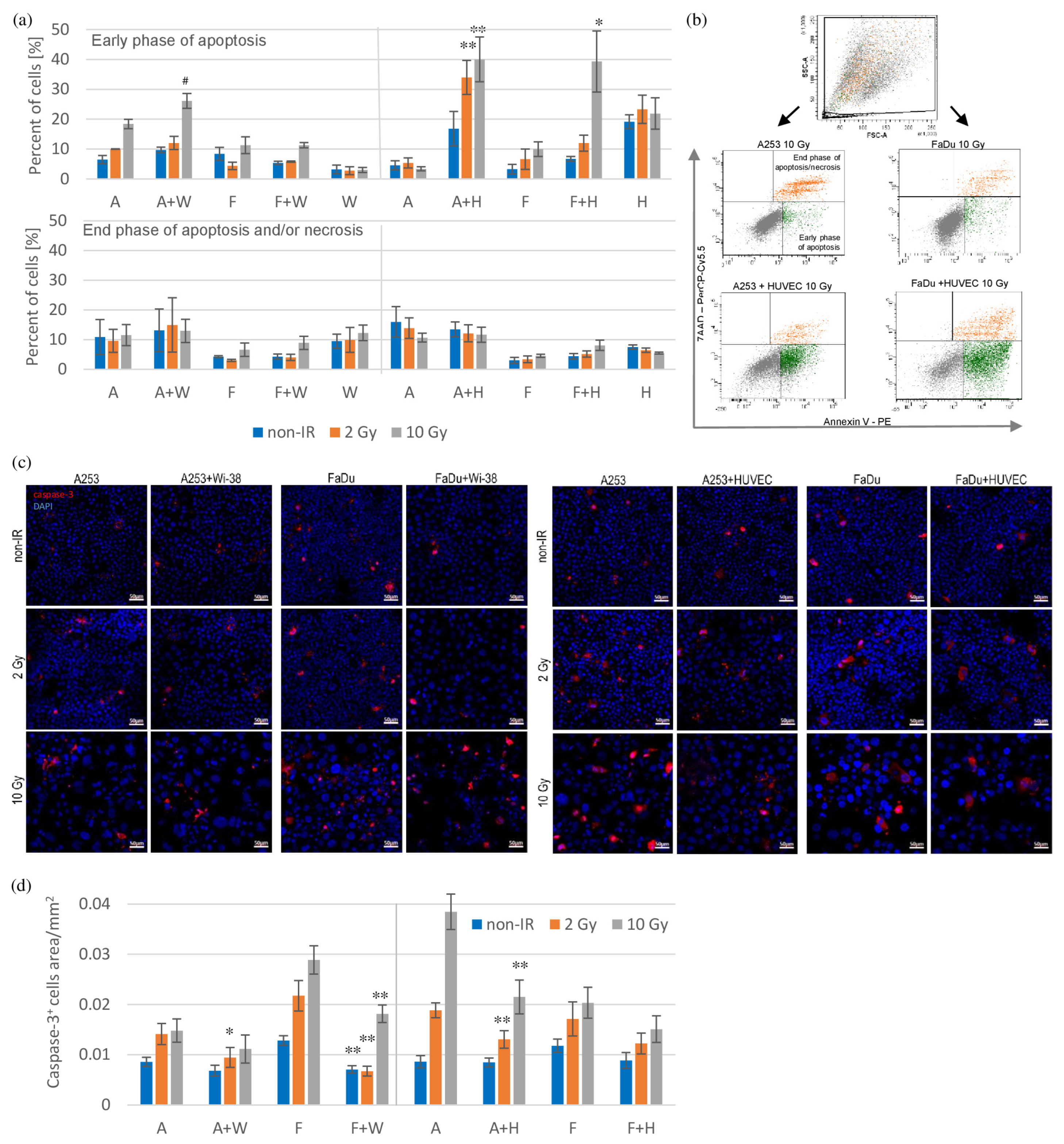 Biomedicines 11 01773 g002
