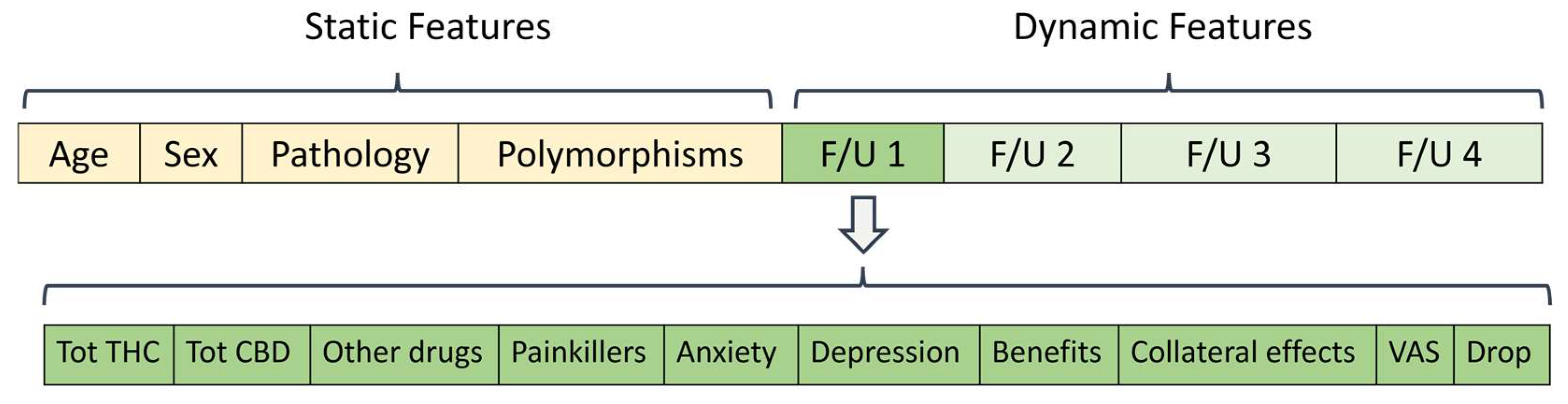 Biomedicines 11 01776 g001