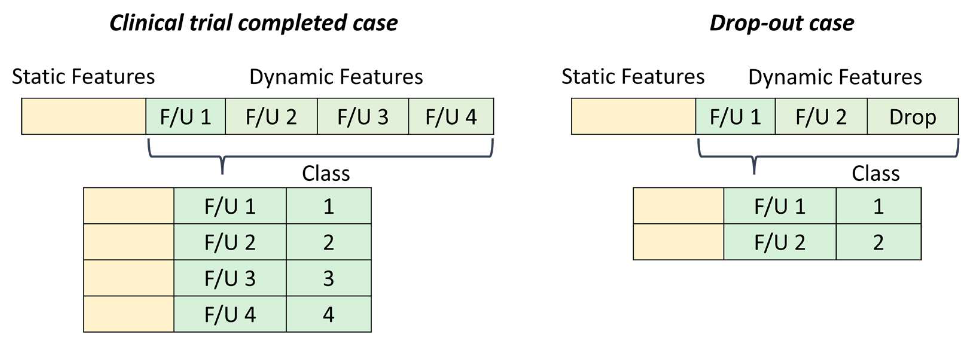 Biomedicines 11 01776 g003