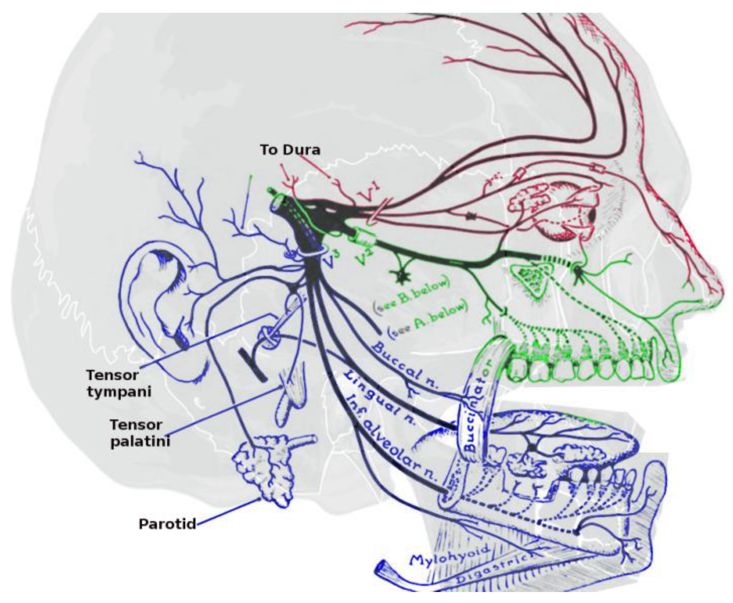 Biomedicines 11 01778 g002 Biomedicines 11 01778 g002