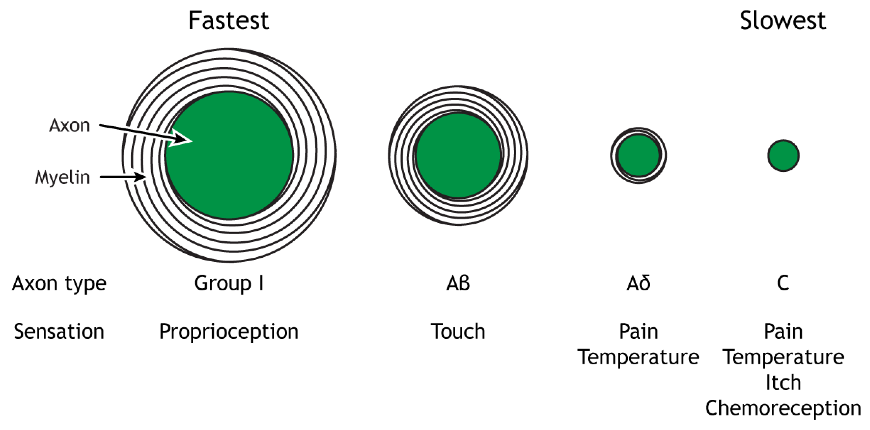 Biomedicines 11 01778 g003 Biomedicines 11 01778 g003