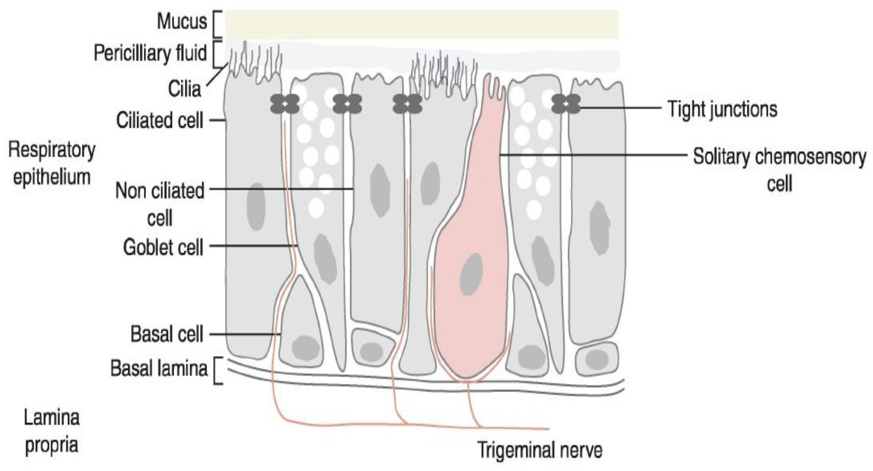Biomedicines 11 01778 g004 Biomedicines 11 01778 g004