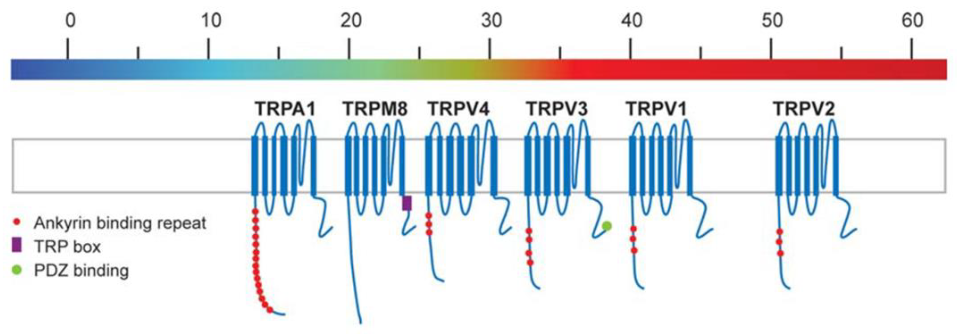 Biomedicines 11 01778 g006 Biomedicines 11 01778 g006