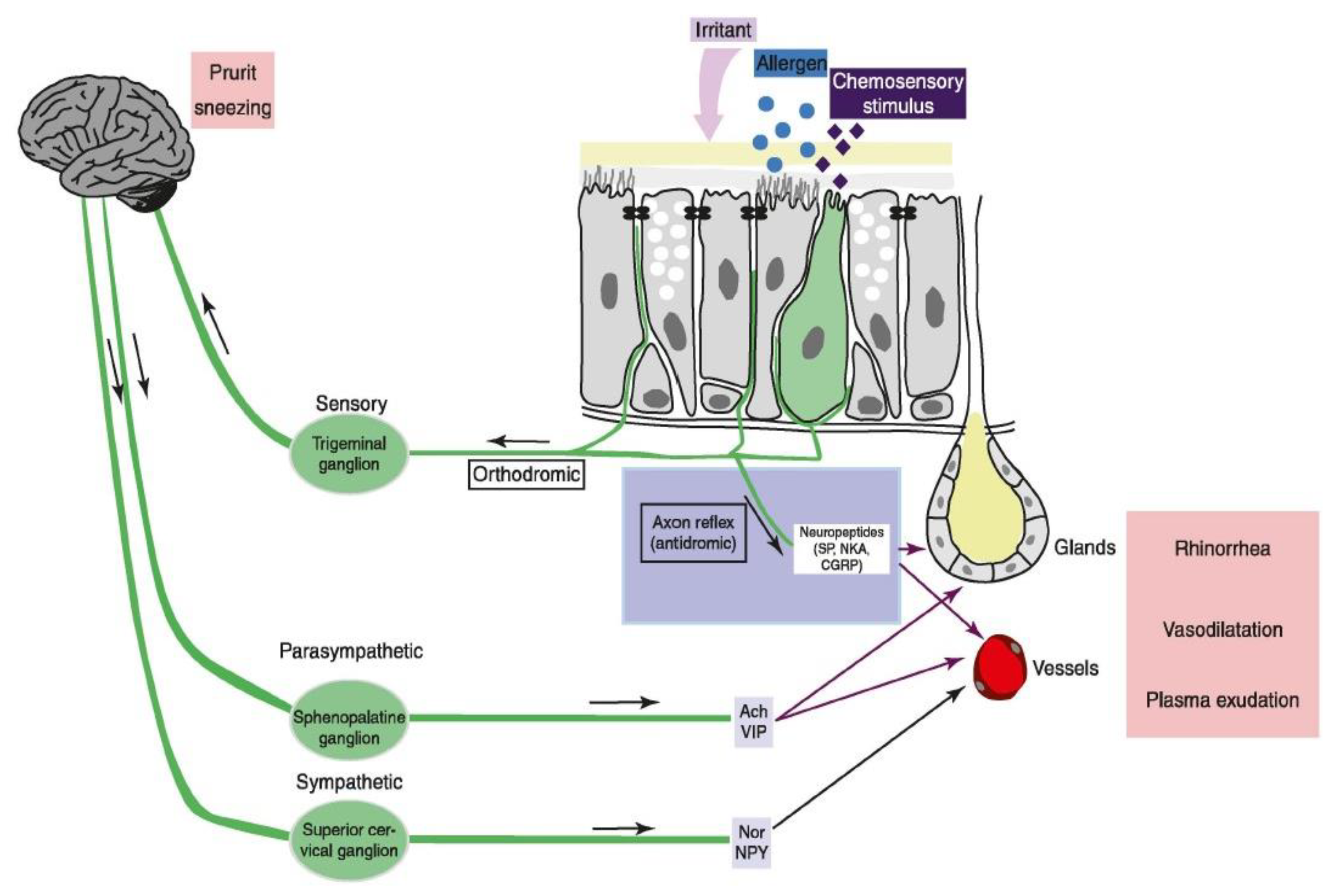 Biomedicines 11 01778 g008 Biomedicines 11 01778 g008