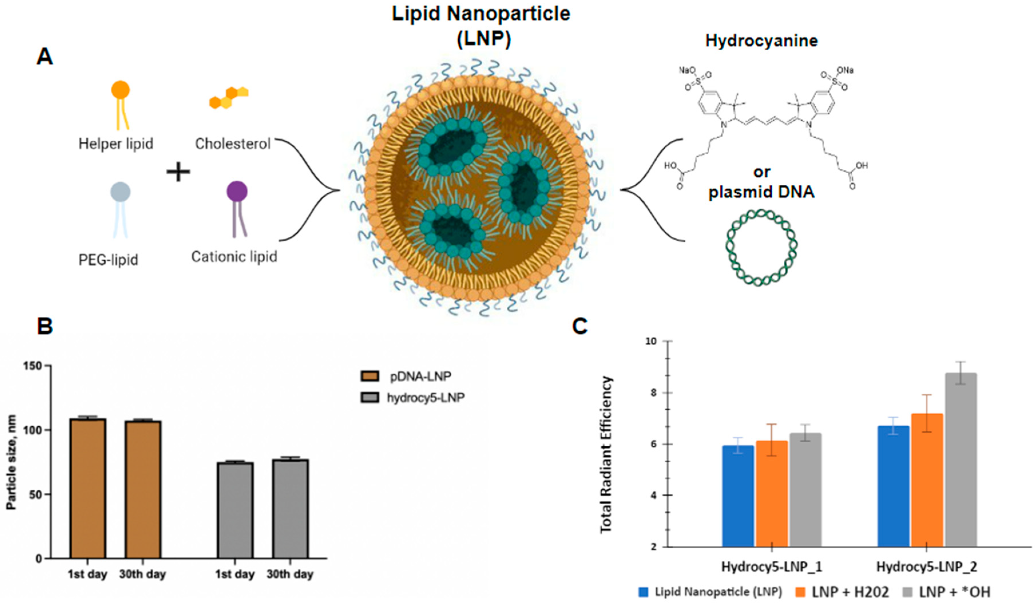 Biomedicines 11 01783 g001 Biomedicines 11 01783 g001