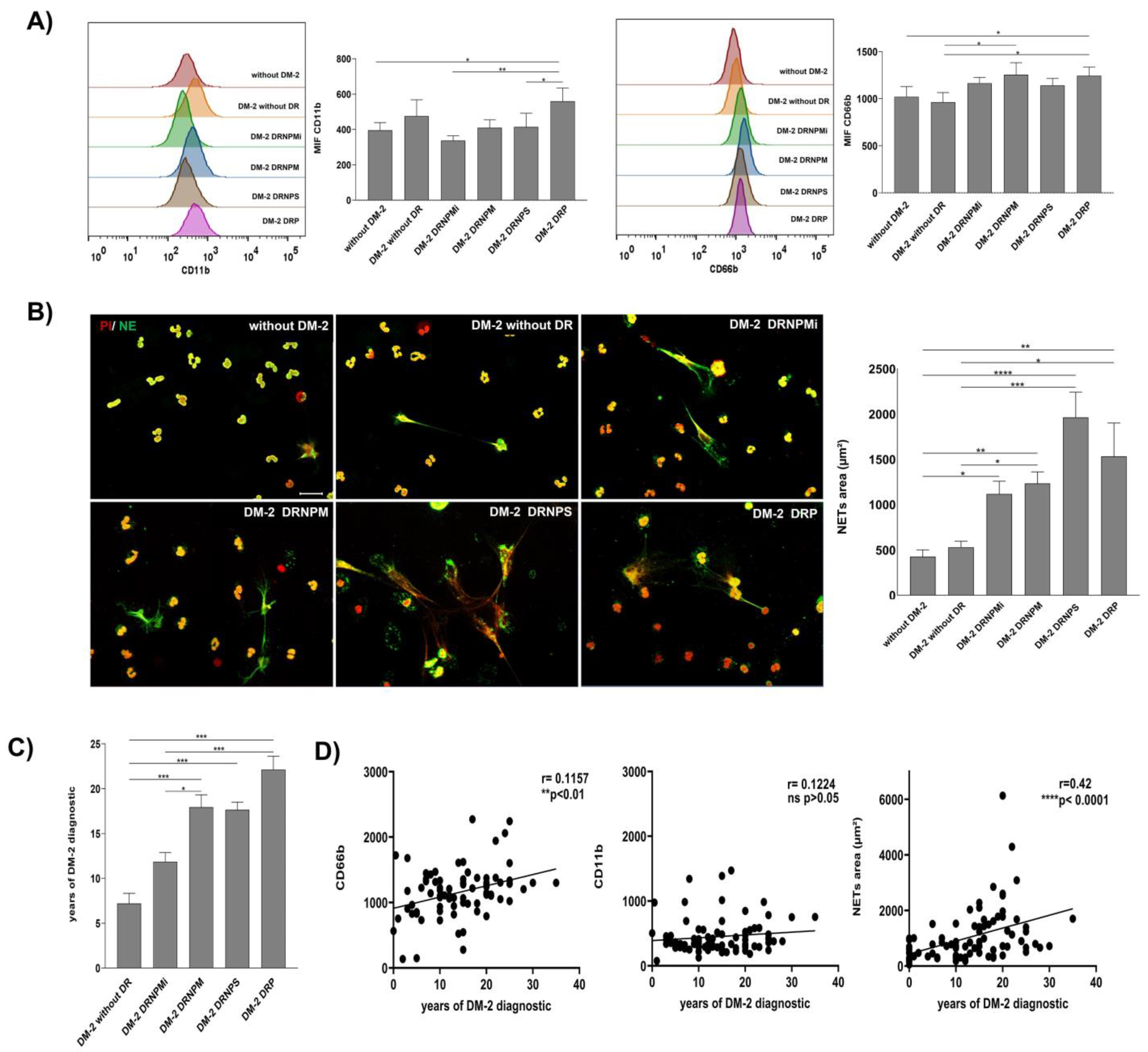 Biomedicines 11 01791 g001