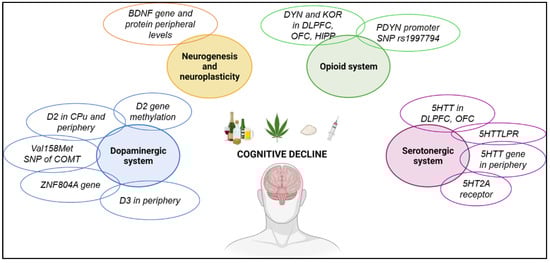 Biomedicines 11 01796 g002