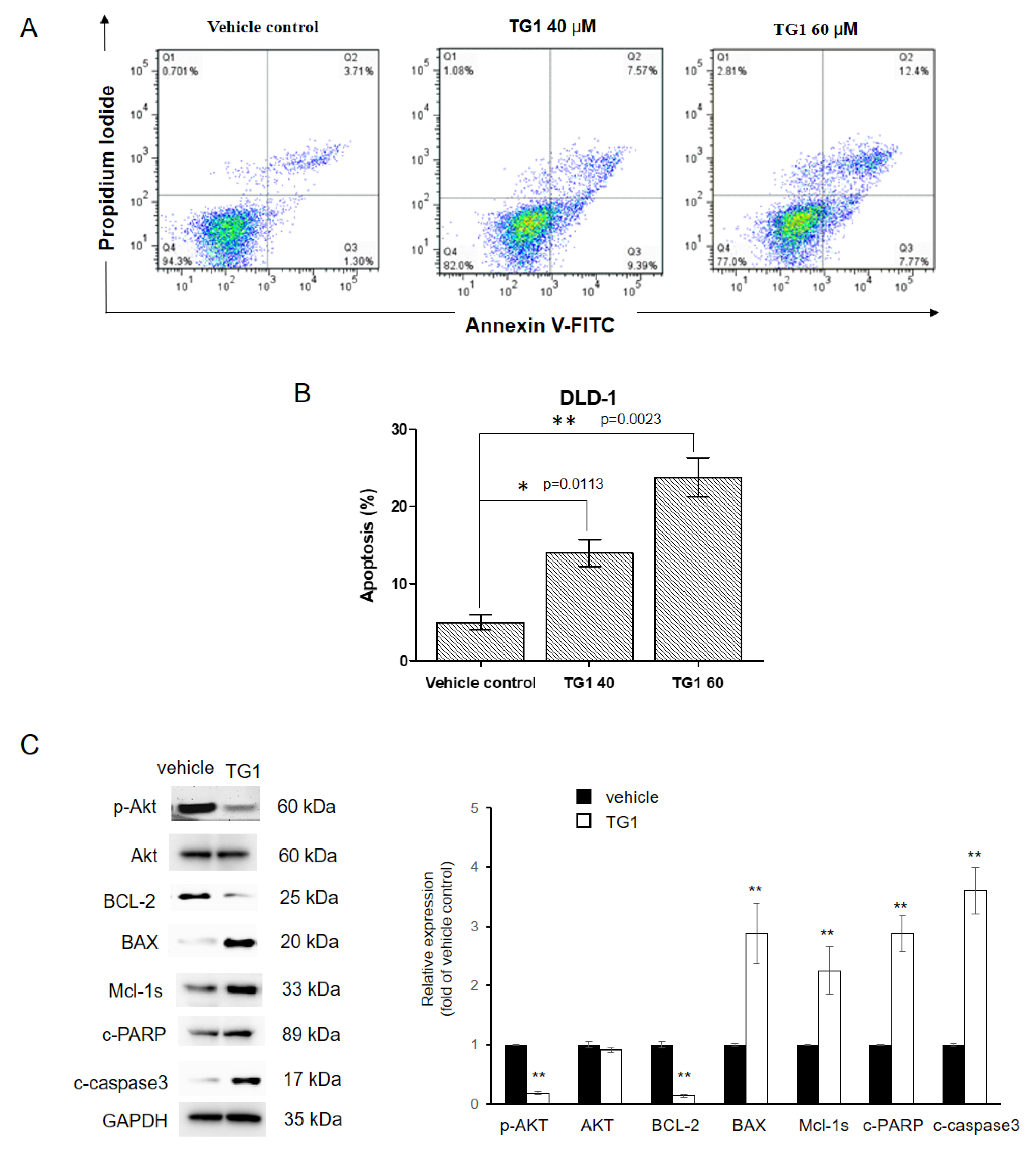 Biomedicines 11 01798 g003