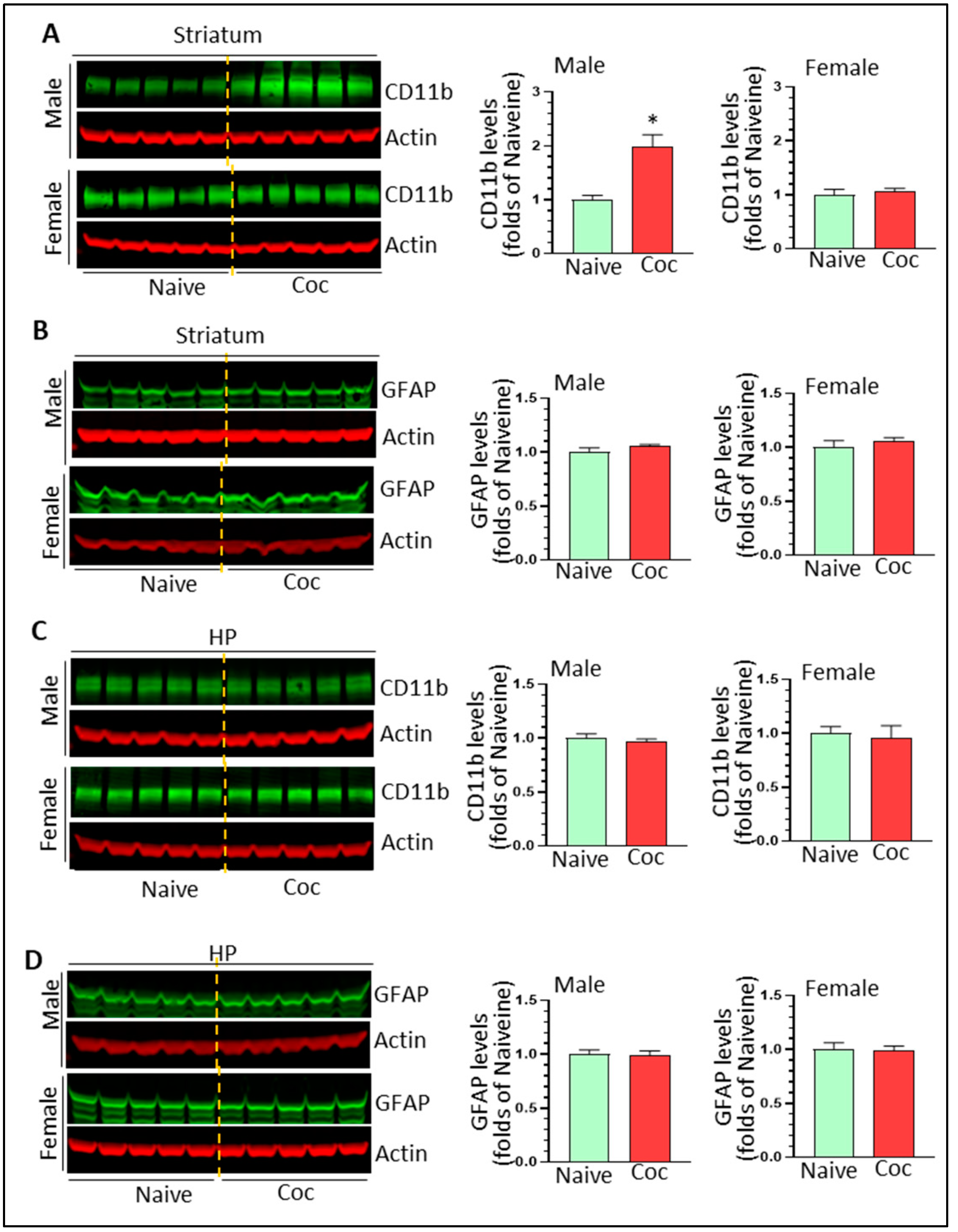 Biomedicines 11 01800 g002 Biomedicines 11 01800 g002
