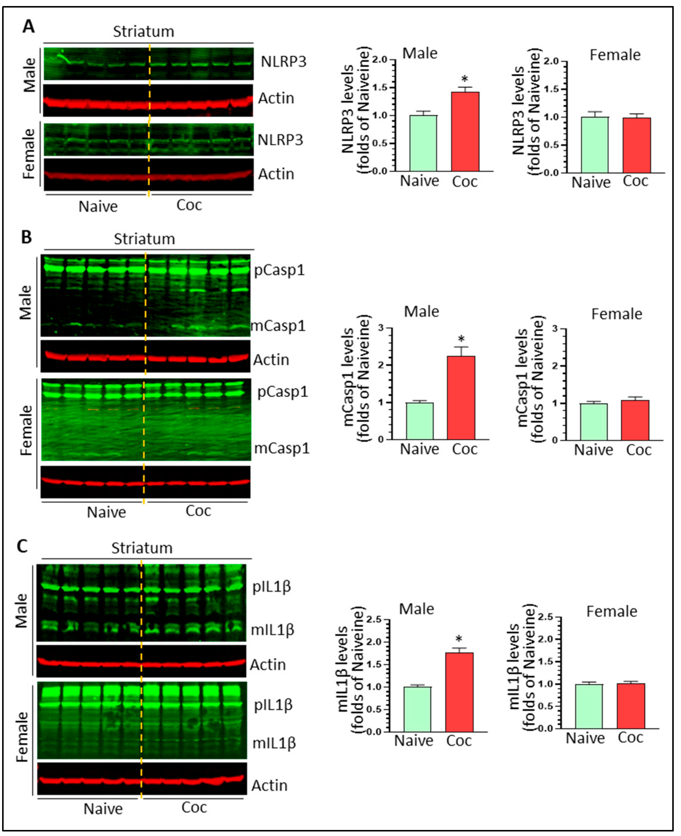 Biomedicines 11 01800 g003 Biomedicines 11 01800 g003