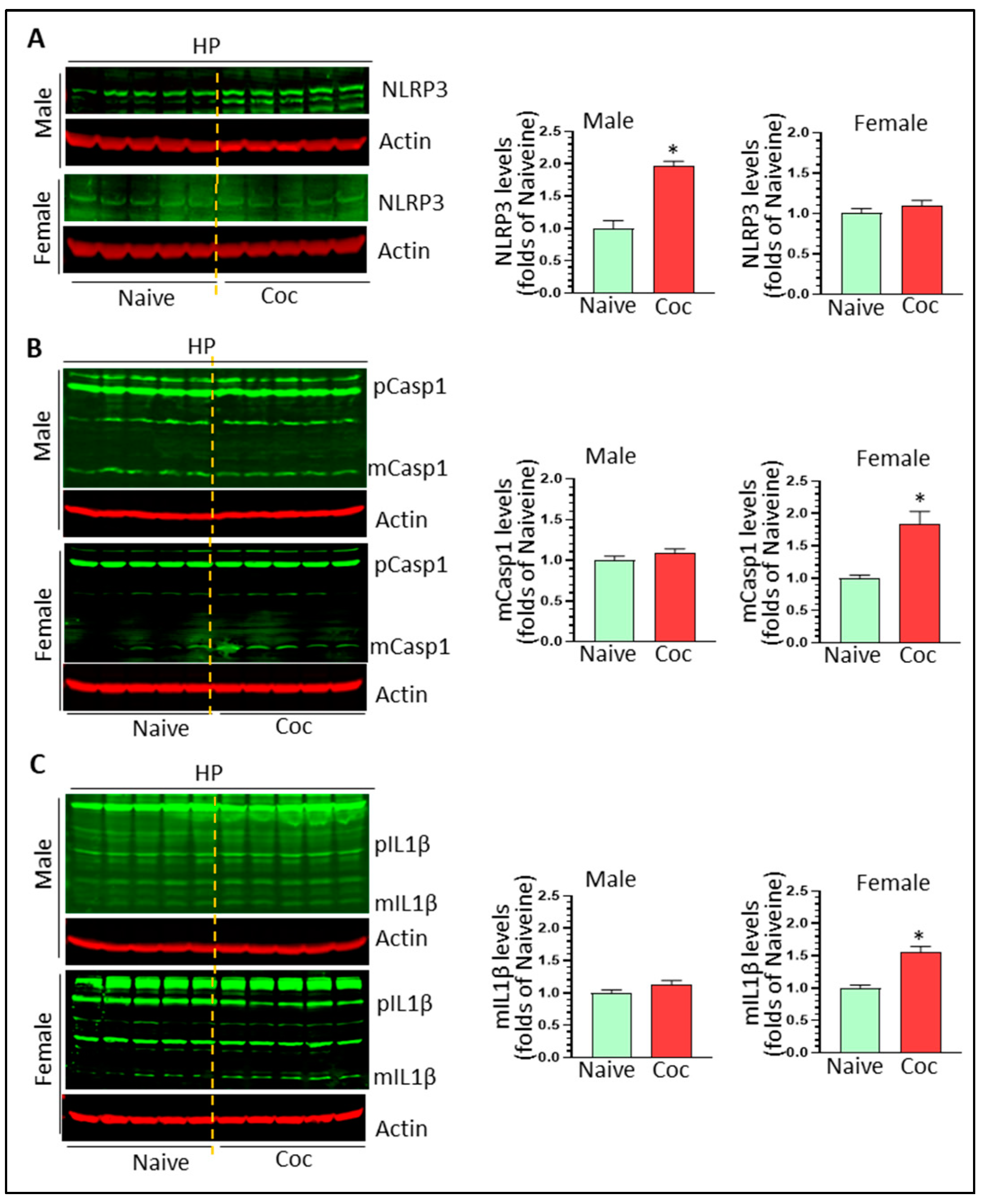 Biomedicines 11 01800 g004 Biomedicines 11 01800 g004