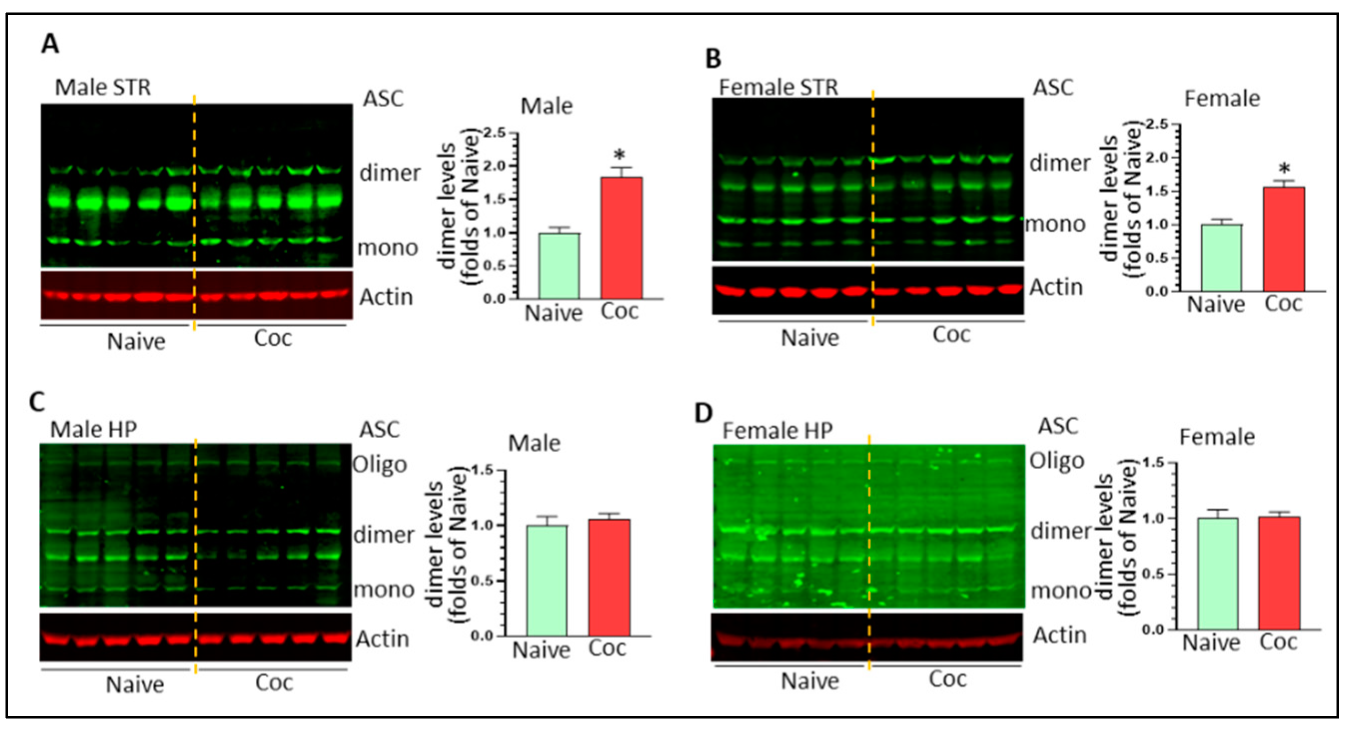 Biomedicines 11 01800 g005 Biomedicines 11 01800 g005