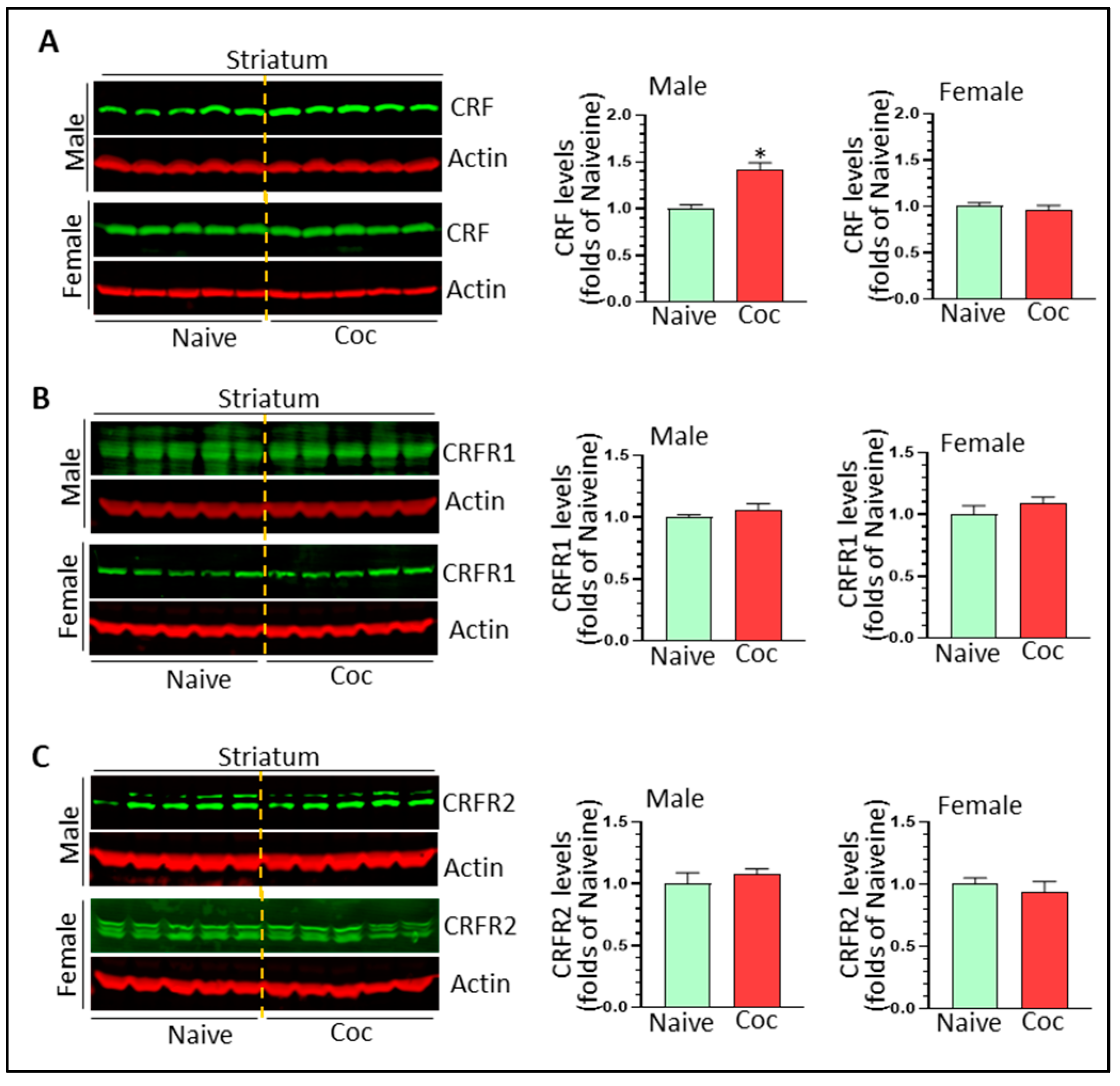 Biomedicines 11 01800 g006 Biomedicines 11 01800 g006