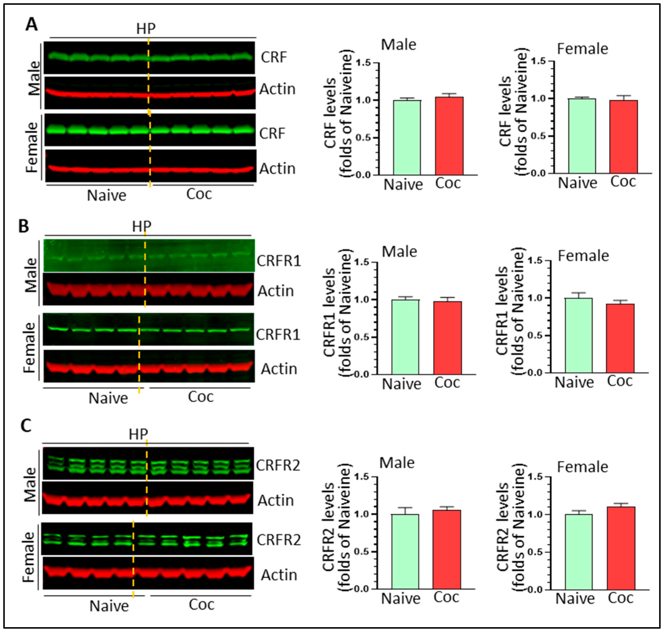 Biomedicines 11 01800 g007 Biomedicines 11 01800 g007