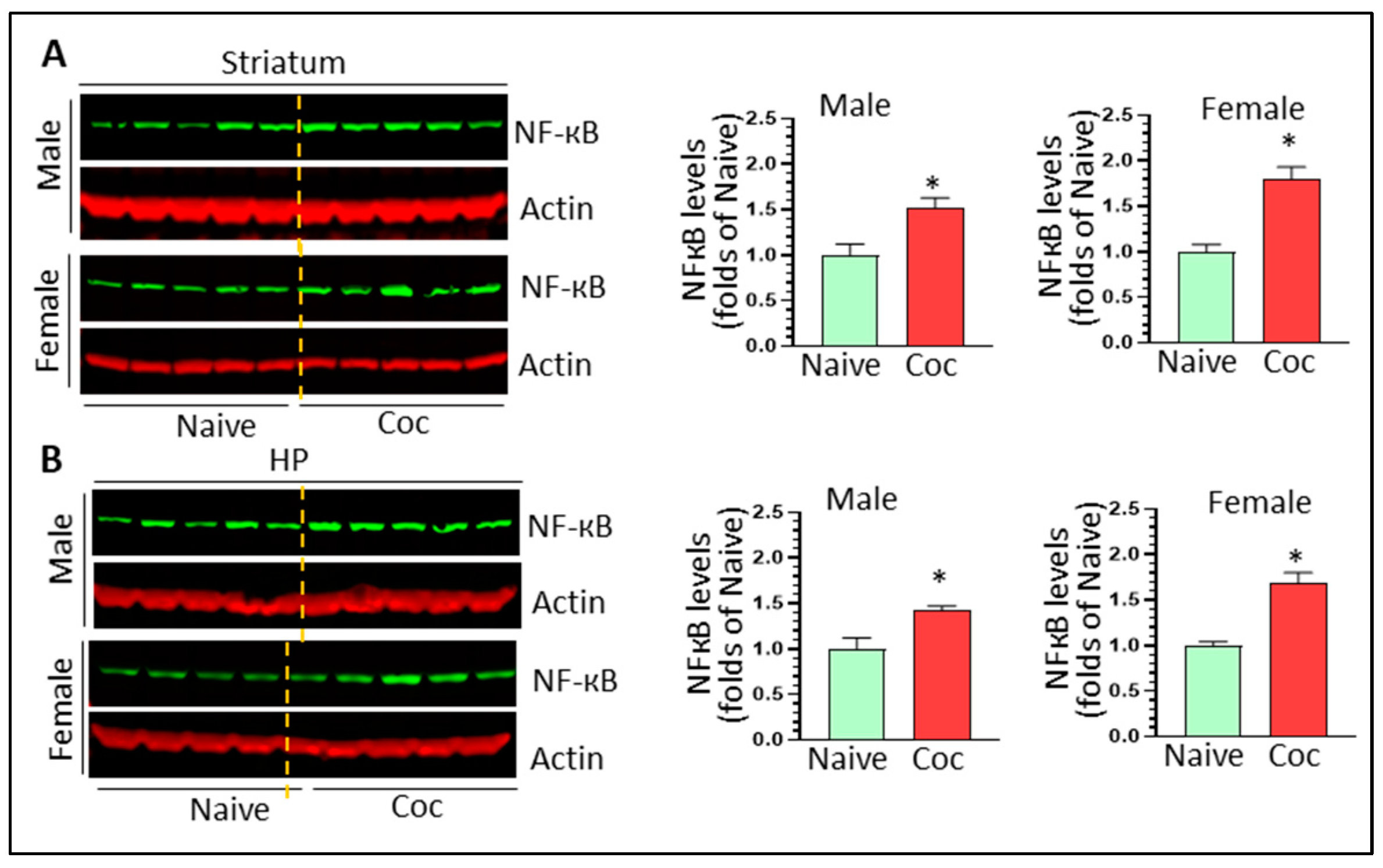 Biomedicines 11 01800 g008 Biomedicines 11 01800 g008