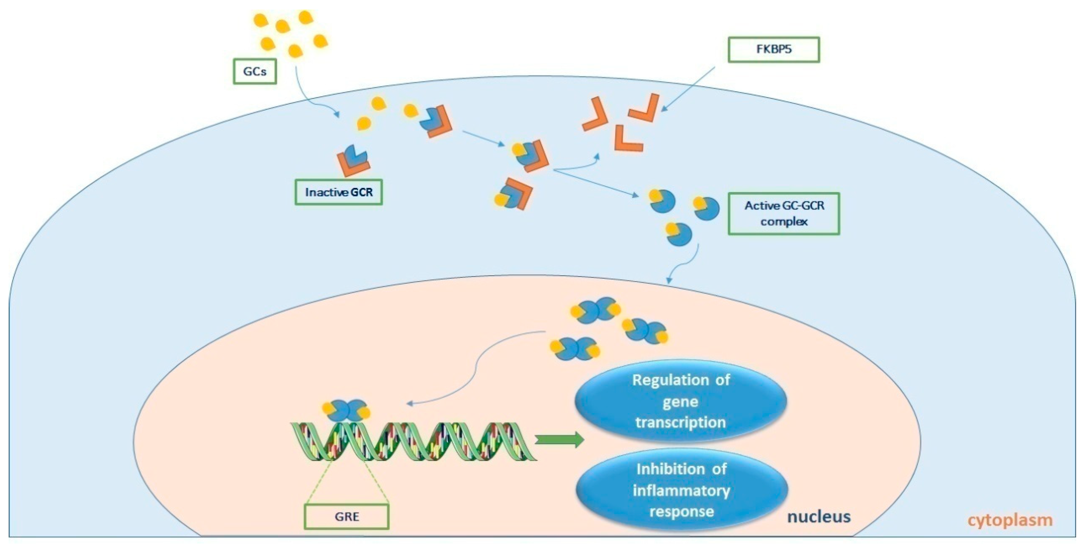 Biomedicines 11 01801 g002 Biomedicines 11 01801 g002