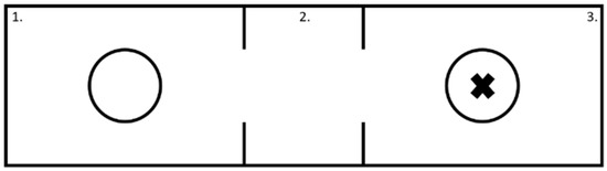 Biomedicines 11 01802 g001