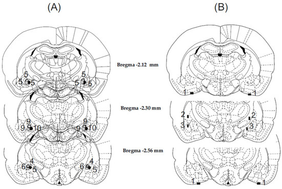 Biomedicines 11 01802 g002