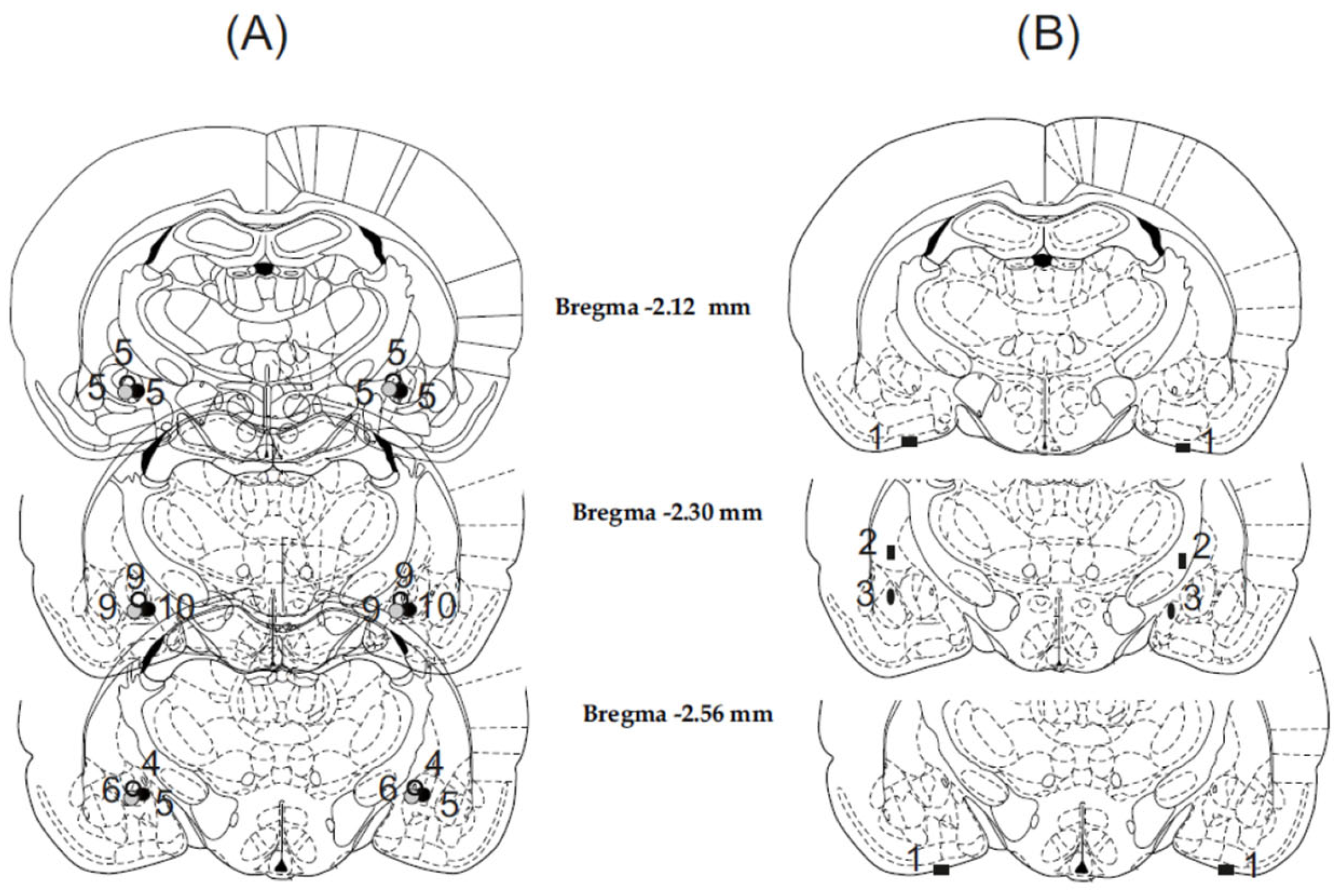 Biomedicines 11 01802 g002