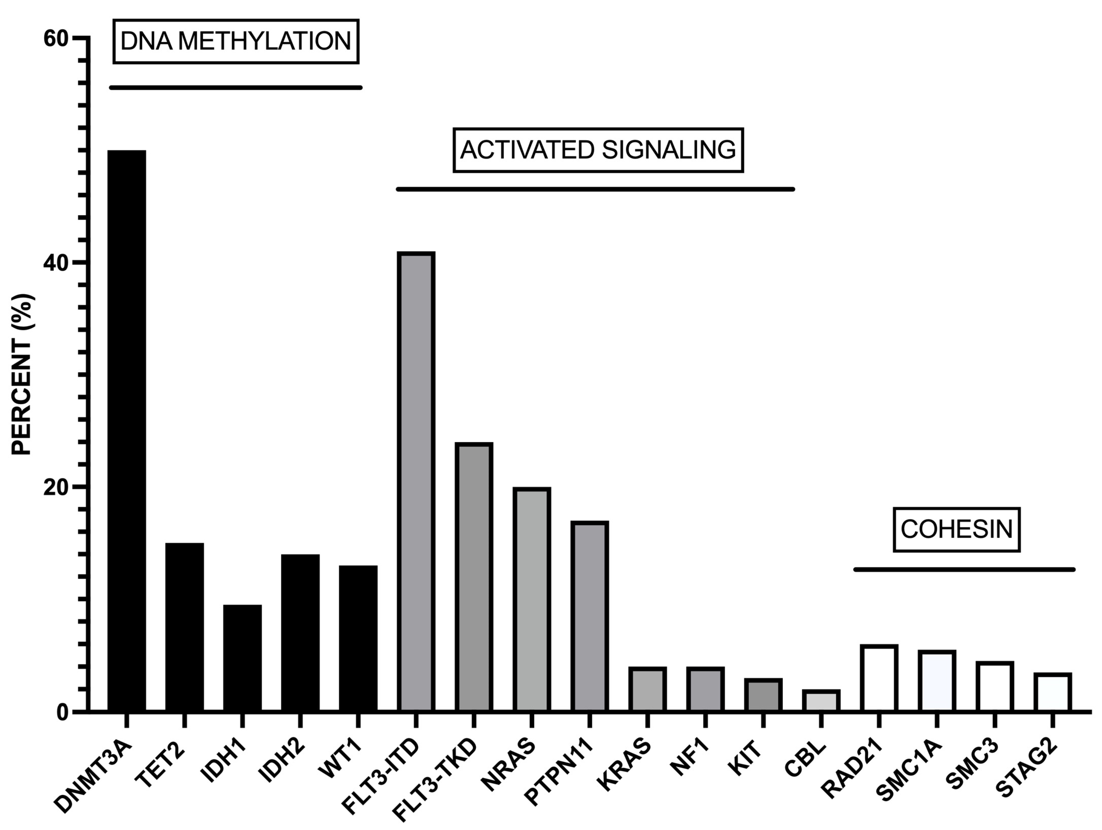 Biomedicines 11 01805 g001 Biomedicines 11 01805 g001