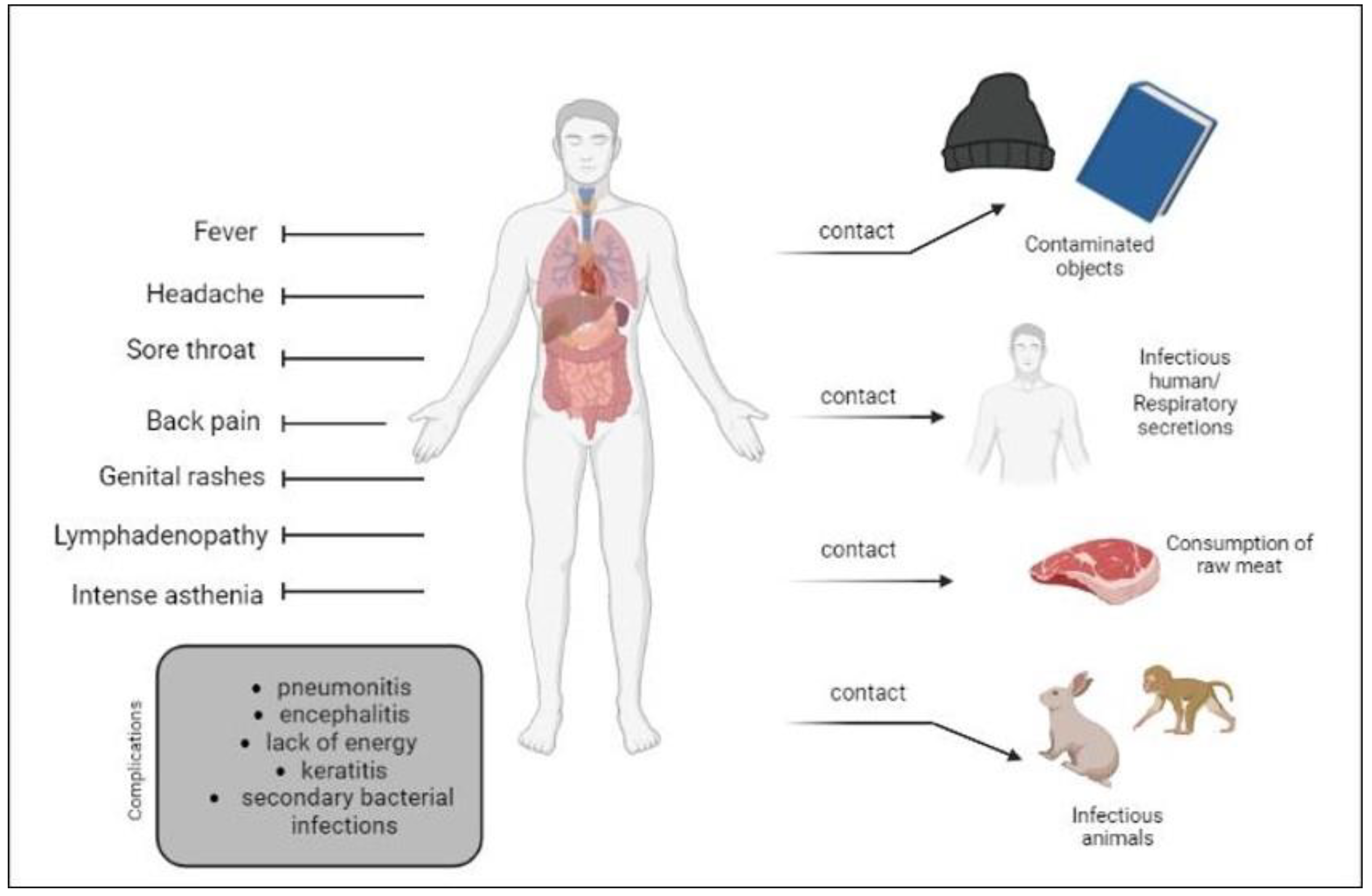 Biomedicines 11 01832 g002 Biomedicines 11 01832 g002