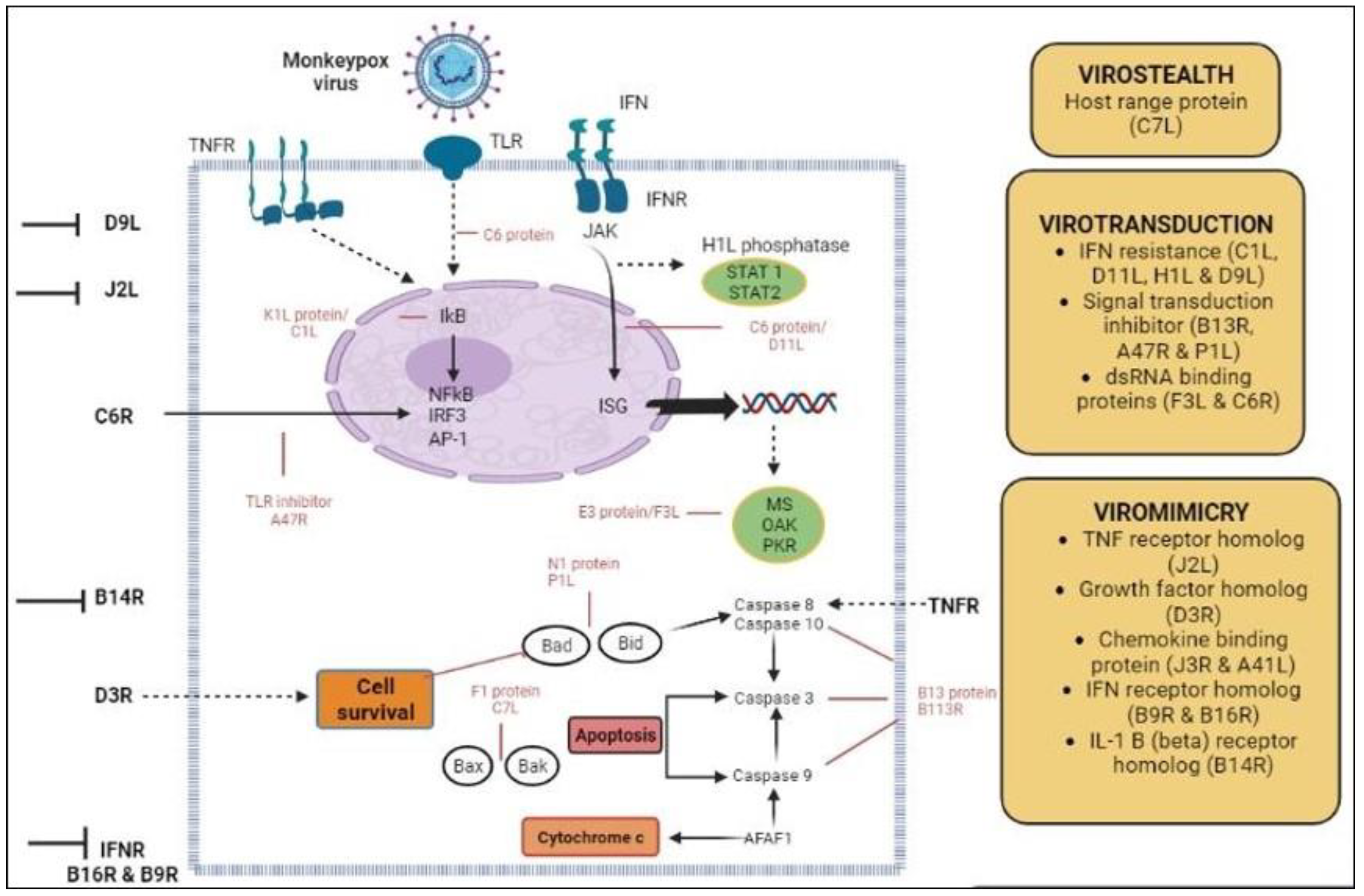 Biomedicines 11 01832 g003 Biomedicines 11 01832 g003