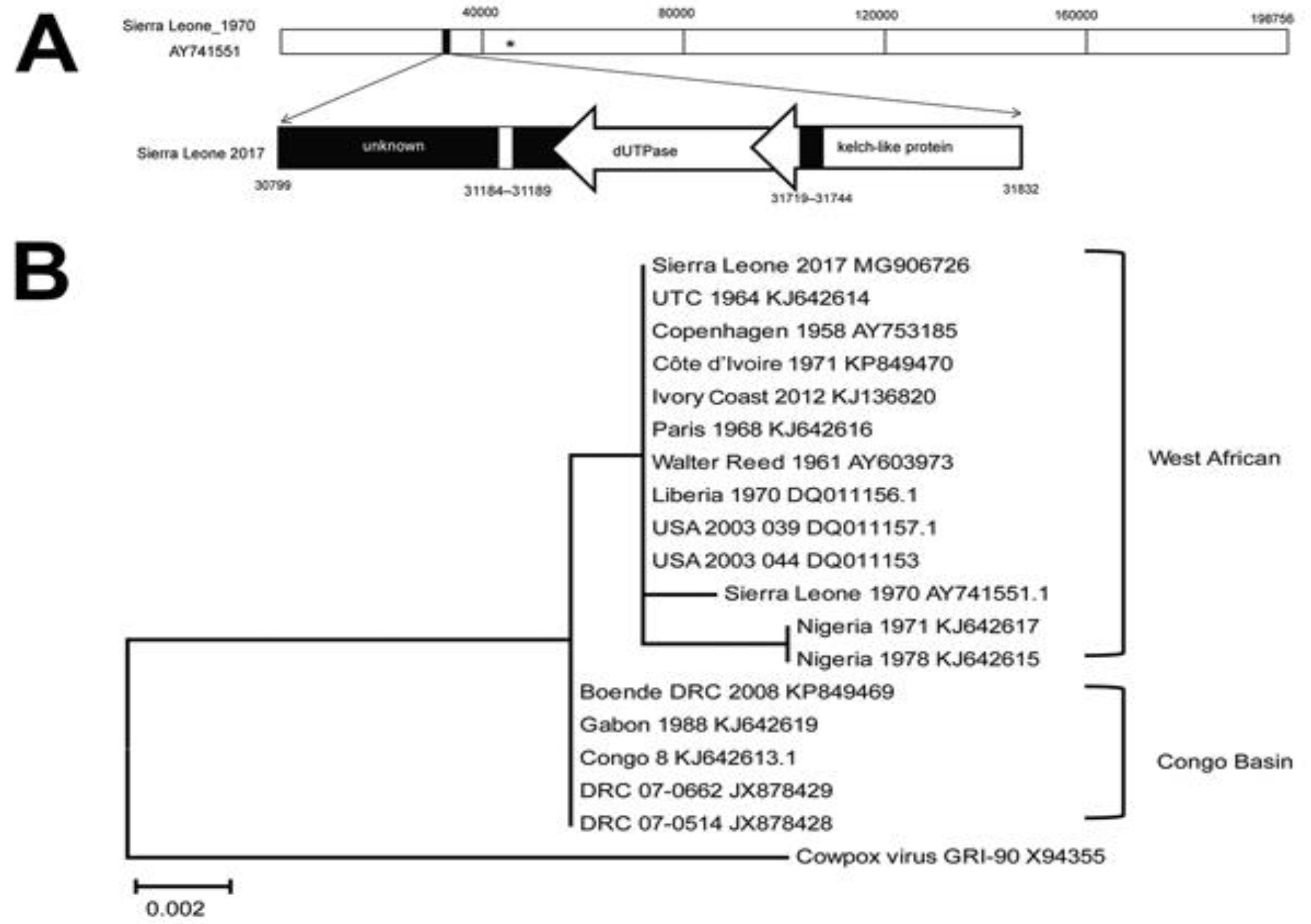 Biomedicines 11 01832 g006 Biomedicines 11 01832 g006