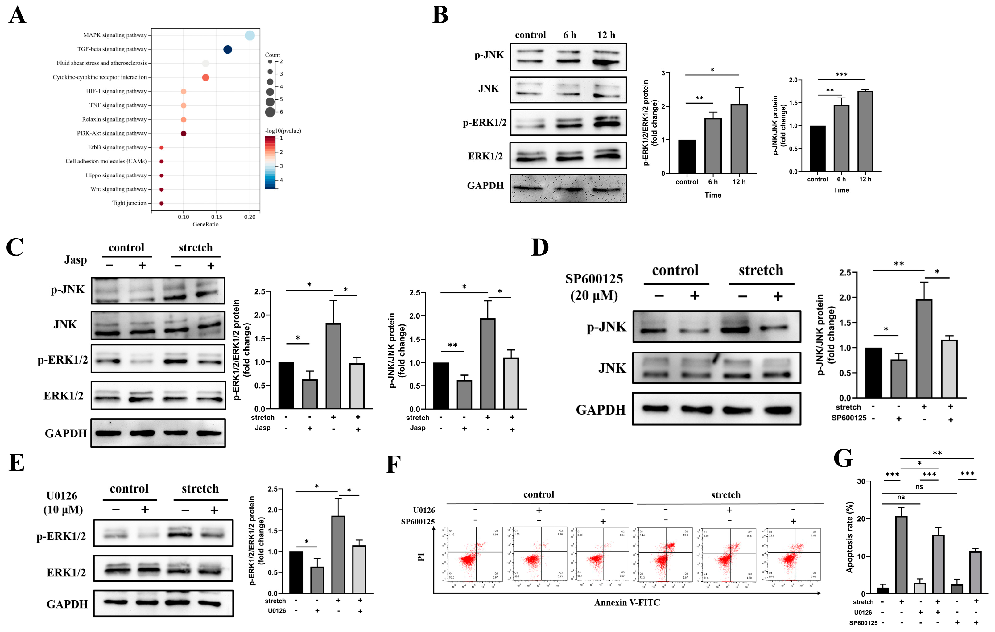 Biomedicines 11 01833 g004