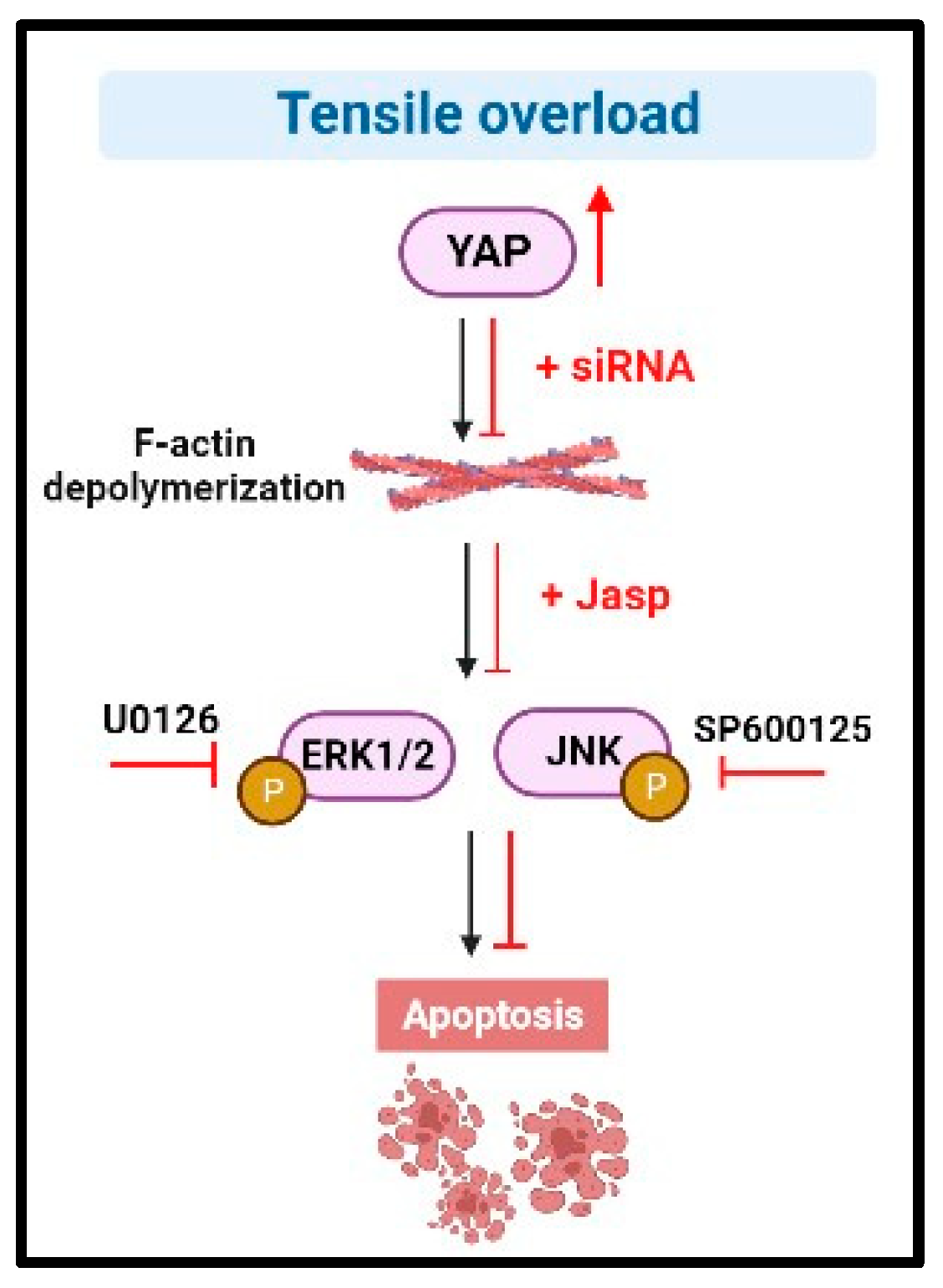 Biomedicines 11 01833 g006
