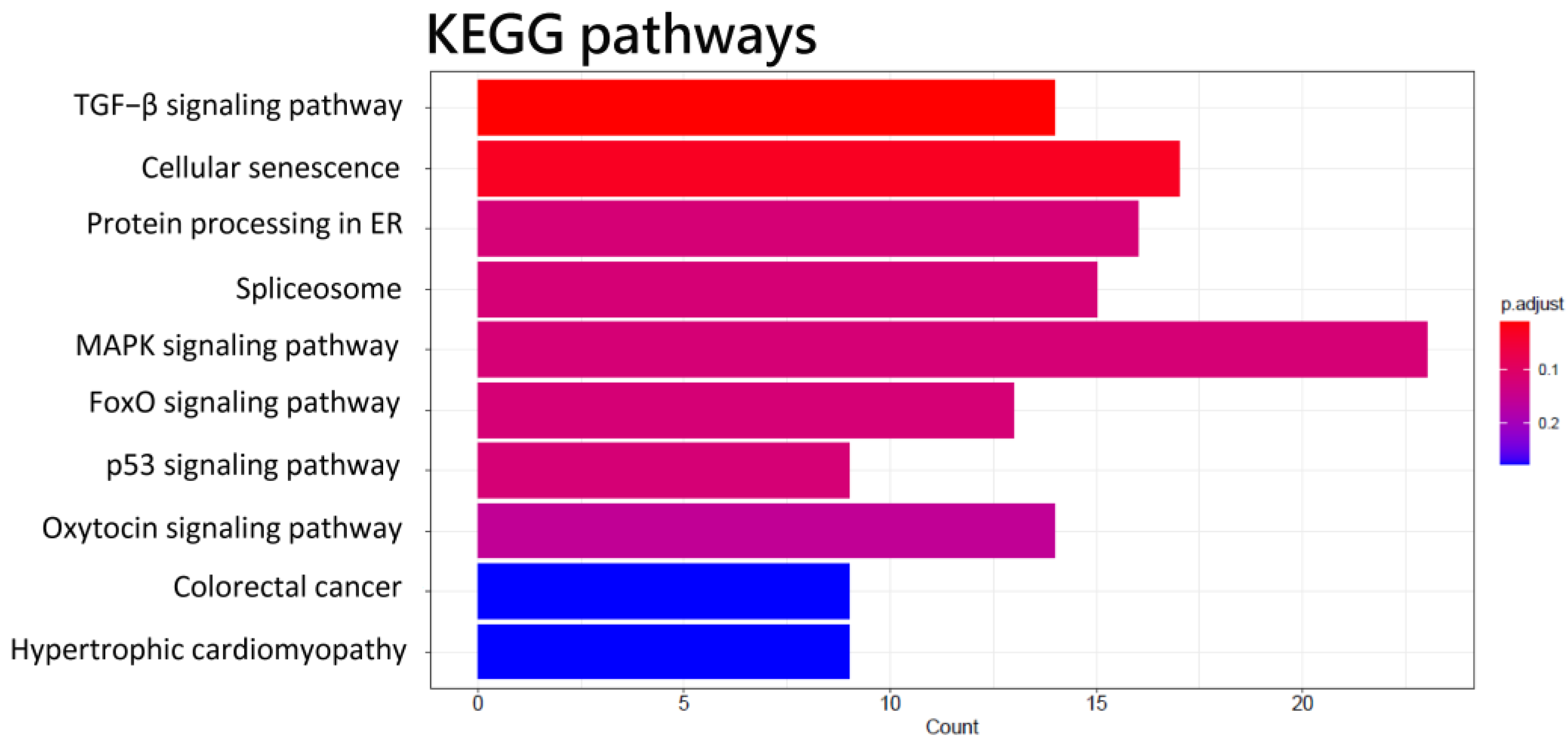 Biomedicines 11 01848 g004