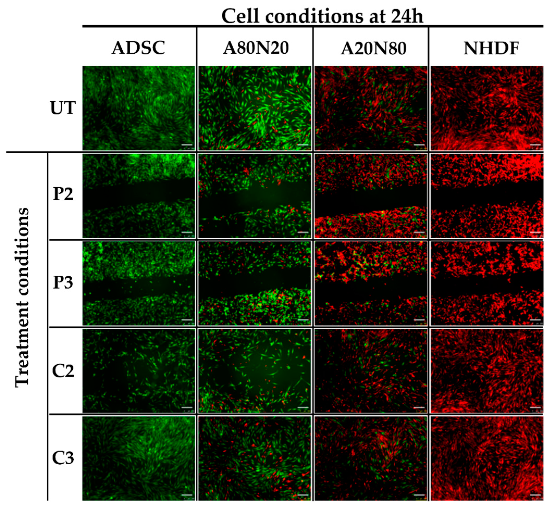 Biomedicines 11 01855 g001