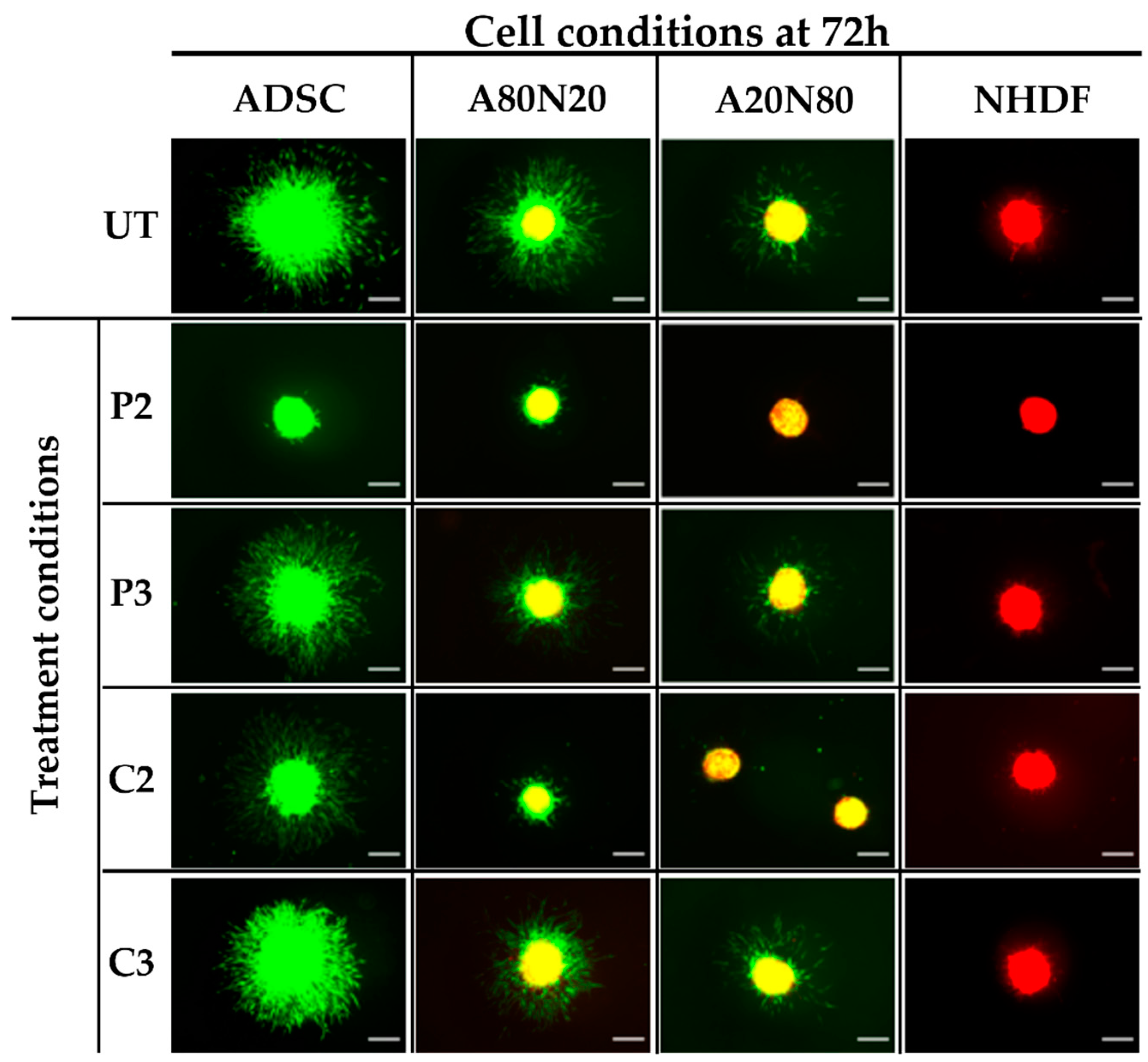 Biomedicines 11 01855 g003