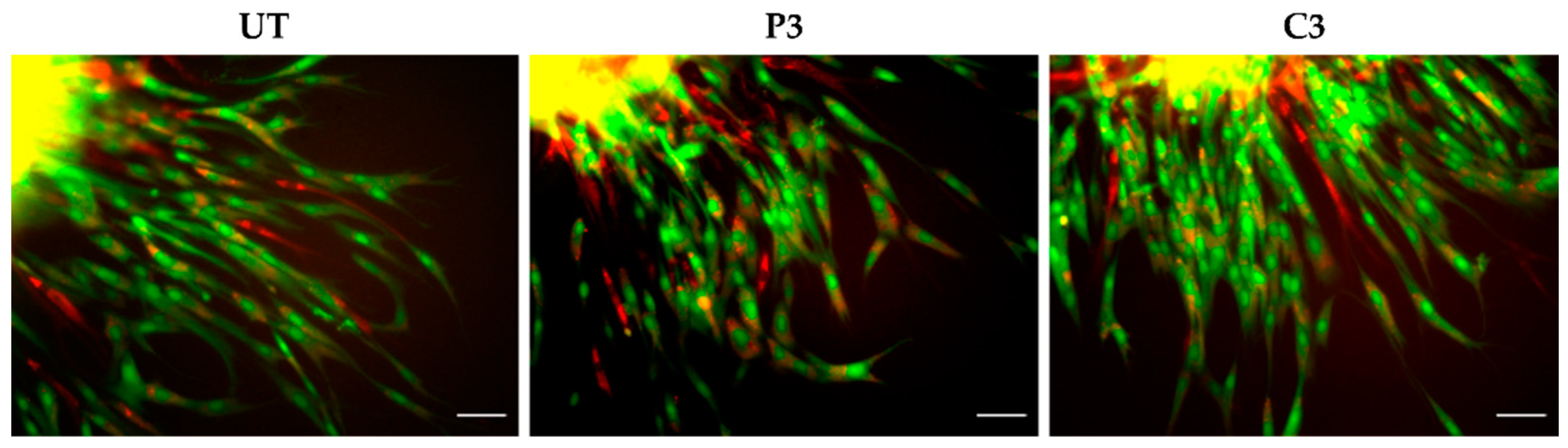 Biomedicines 11 01855 g004