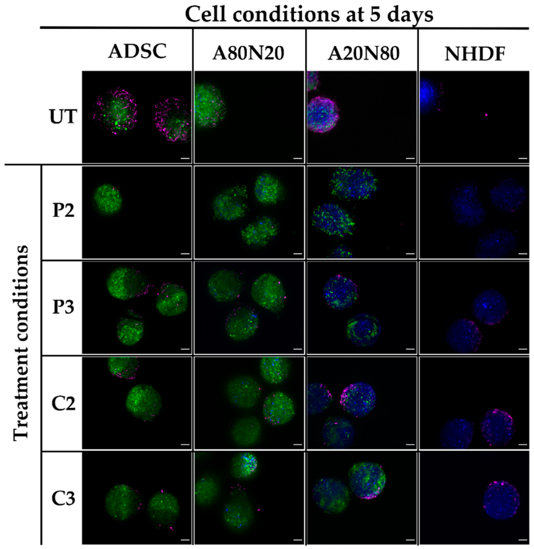 Biomedicines 11 01855 g010