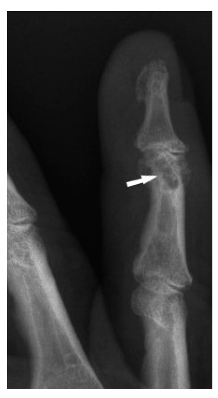 Biomedicines 11 01866 g001