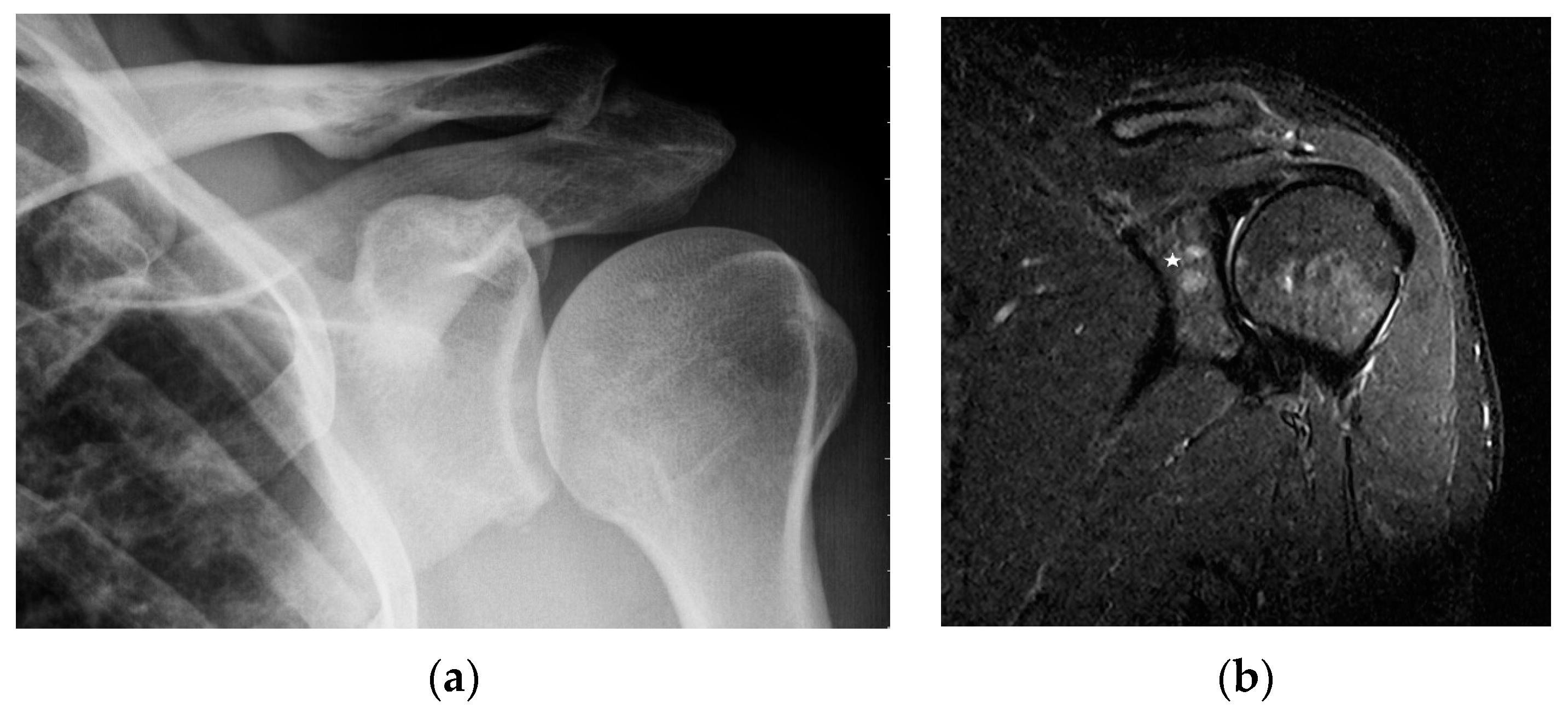 Biomedicines 11 01866 g003