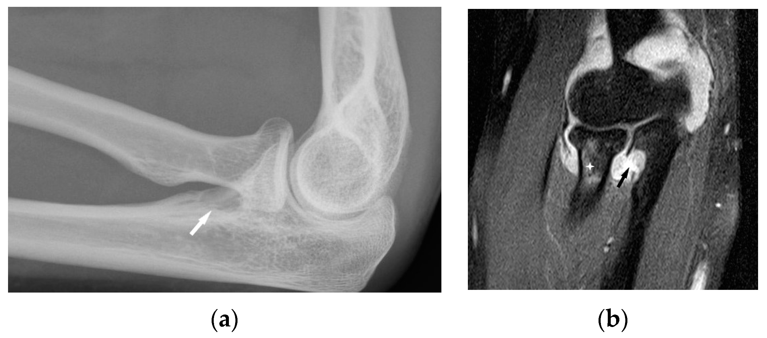 Biomedicines 11 01866 g005