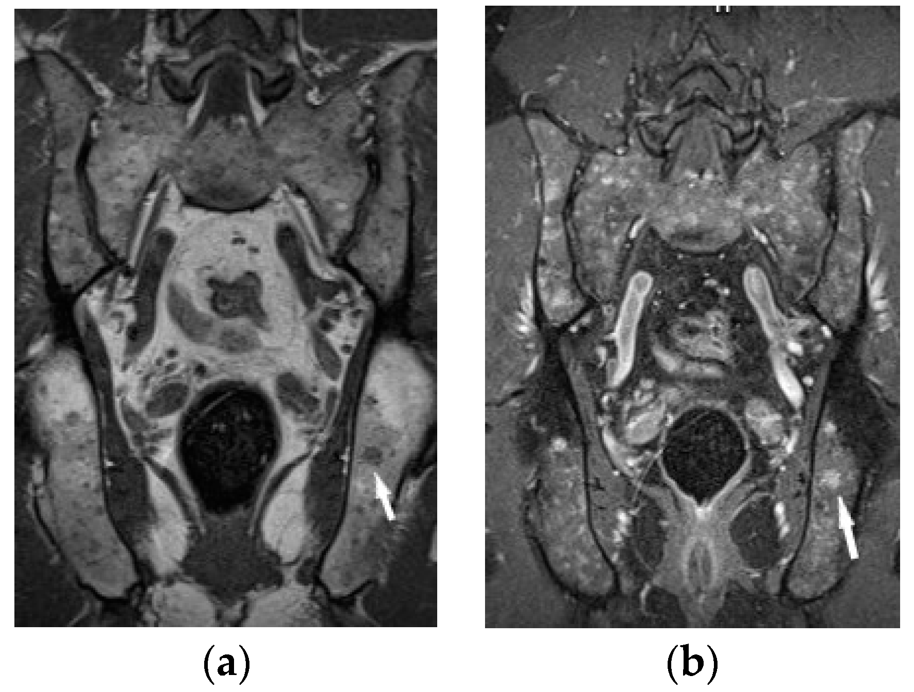 Biomedicines 11 01866 g008