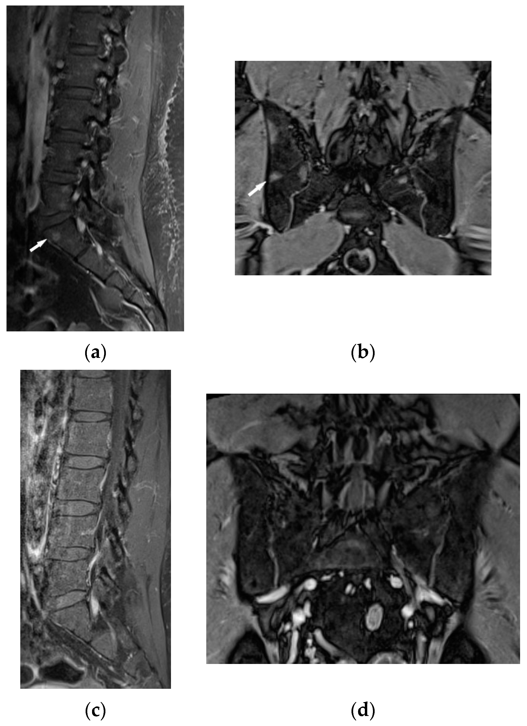 Biomedicines 11 01866 g011