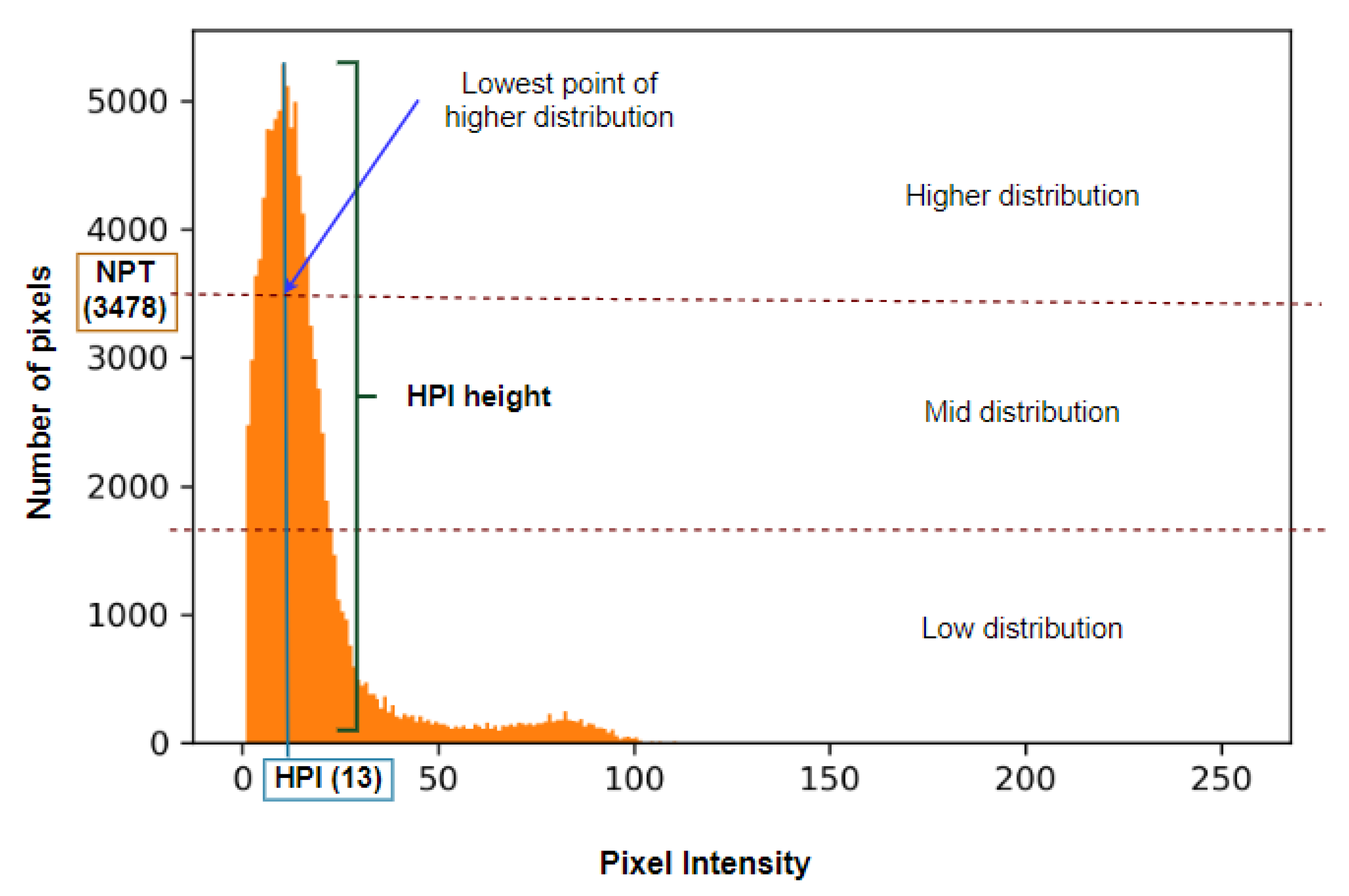 Biomedicines 11 01874 g006 Biomedicines 11 01874 g006