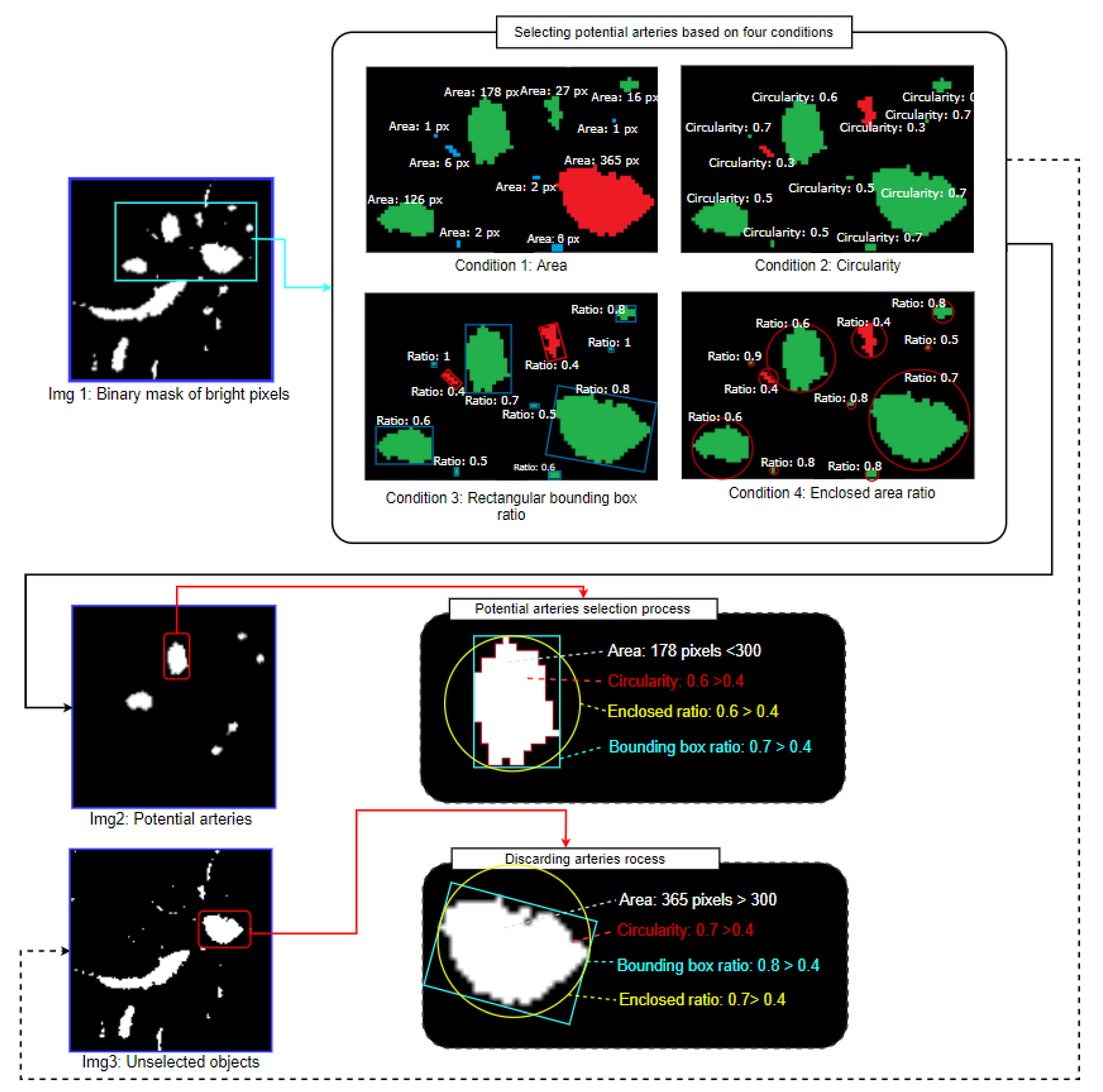 Biomedicines 11 01874 g010 Biomedicines 11 01874 g010