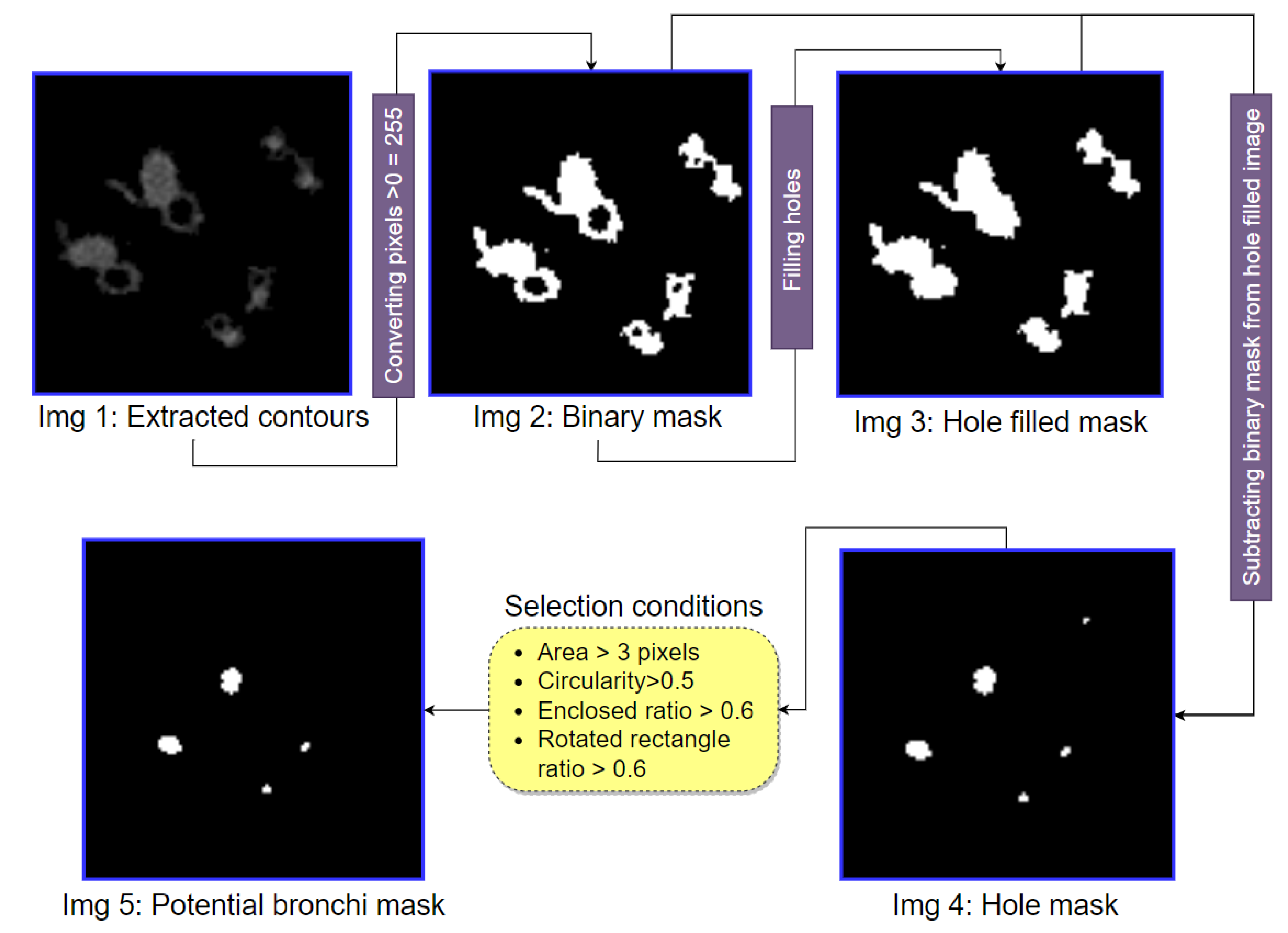 Biomedicines 11 01874 g013 Biomedicines 11 01874 g013