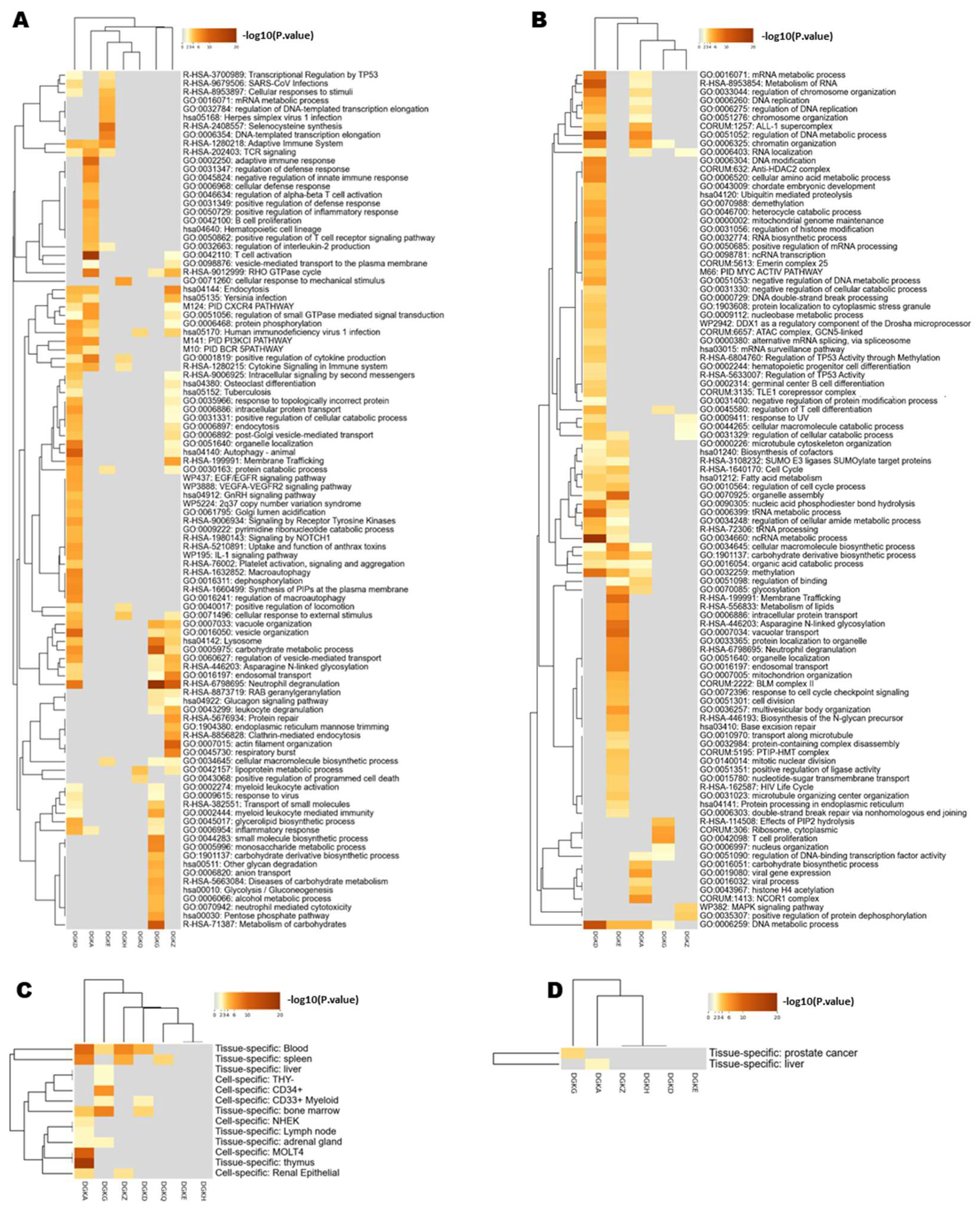 Biomedicines 11 01877 g003