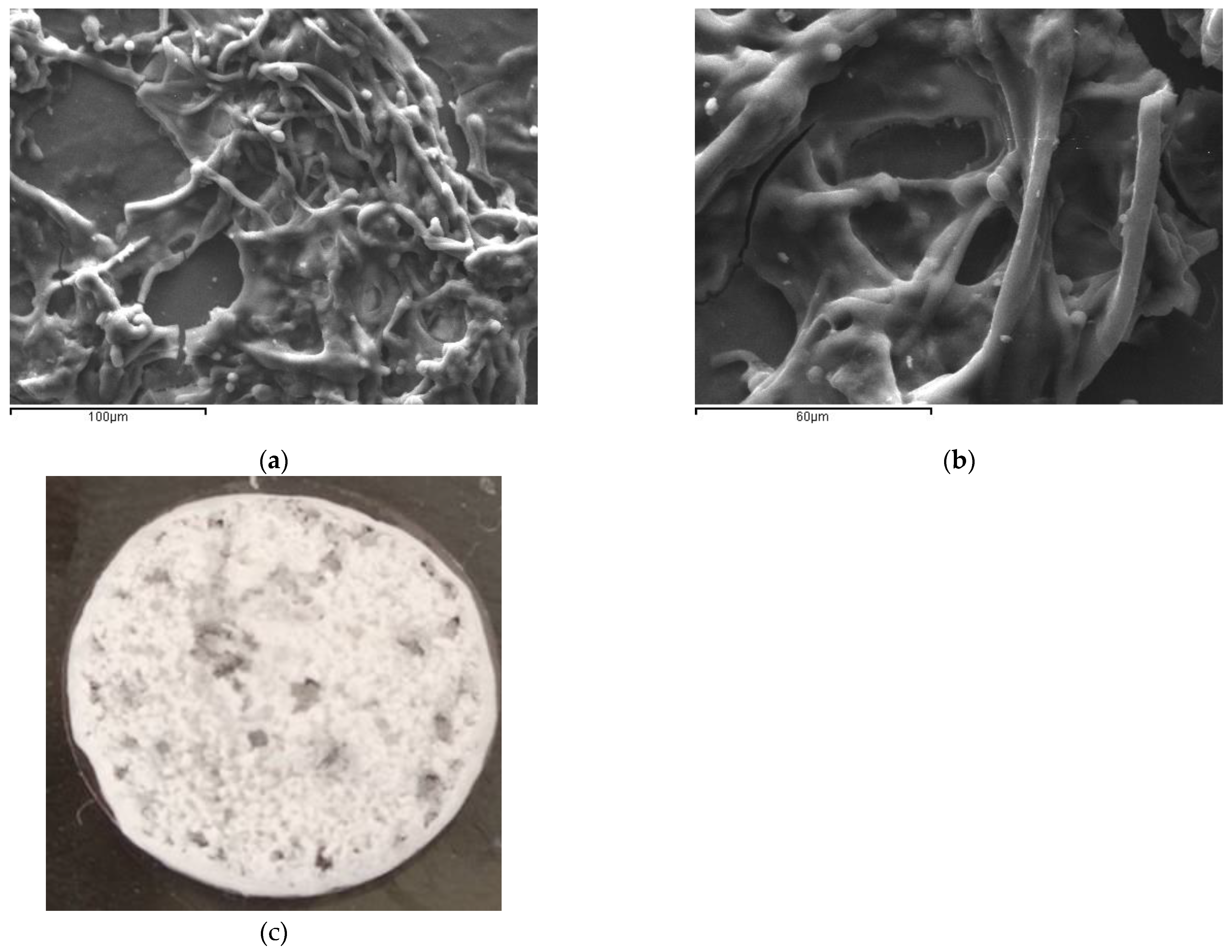 Biomedicines 11 01890 g003 Biomedicines 11 01890 g003