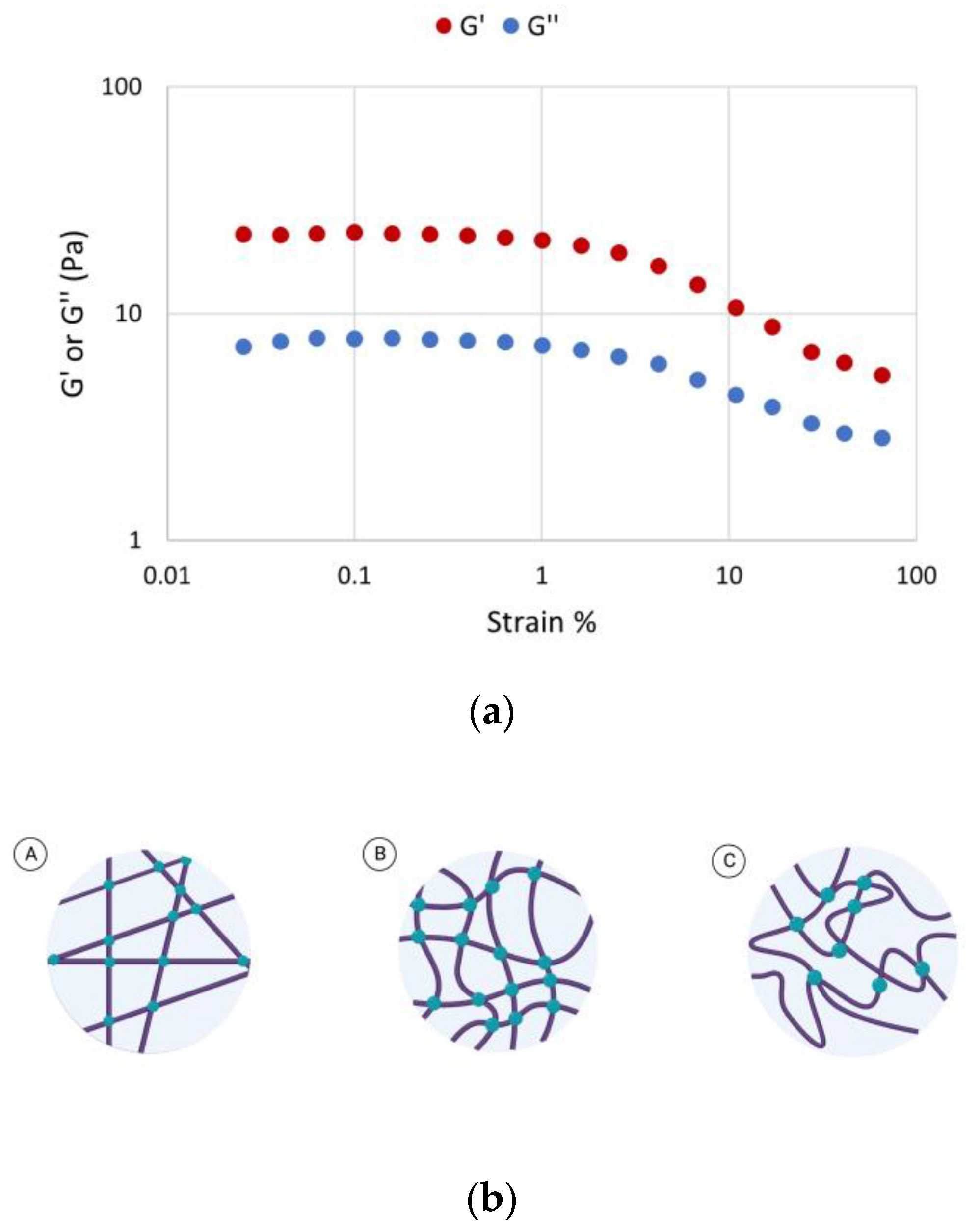 Biomedicines 11 01890 g004 Biomedicines 11 01890 g004
