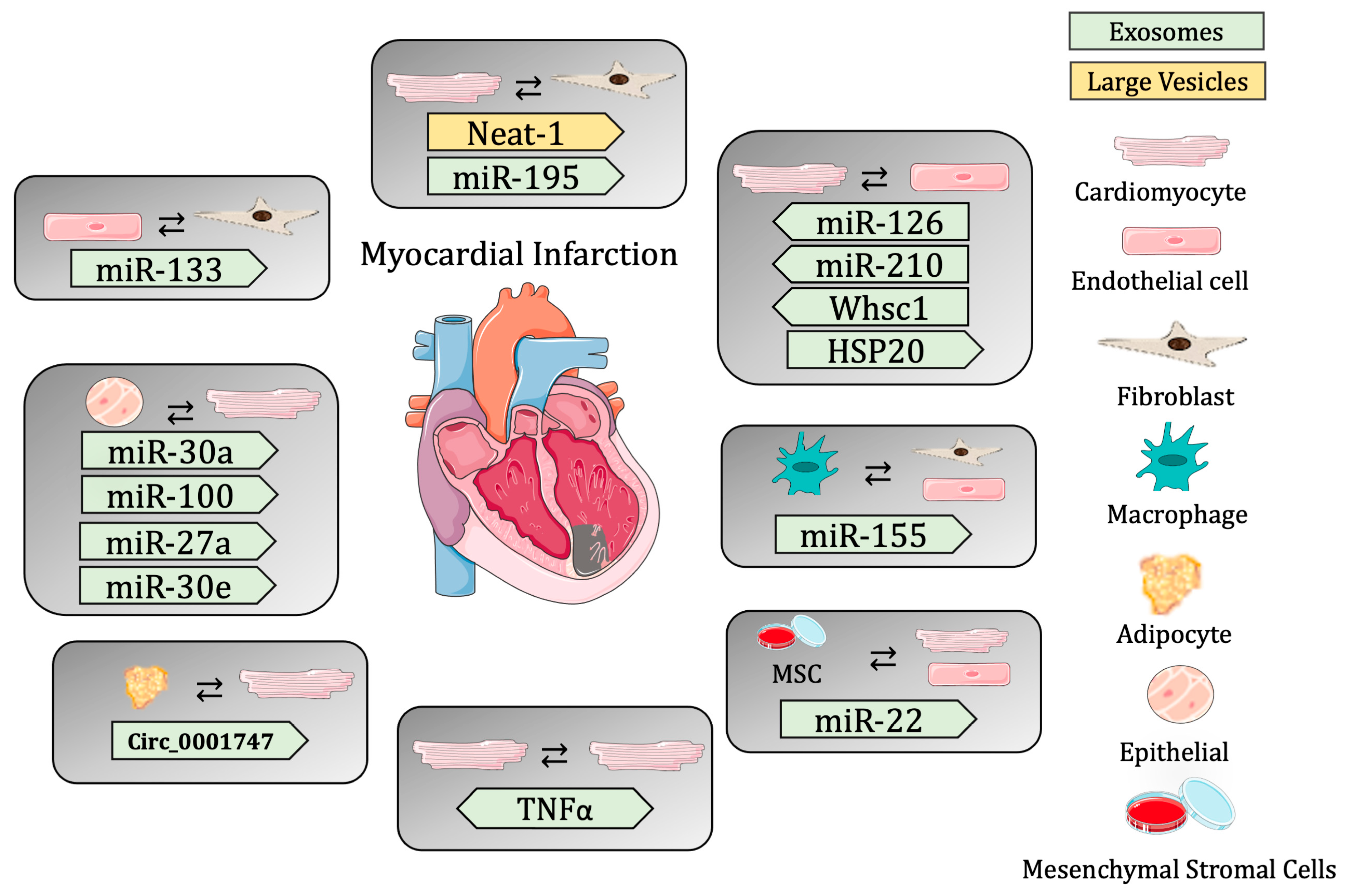 Biomedicines 11 01907 g001 Biomedicines 11 01907 g001